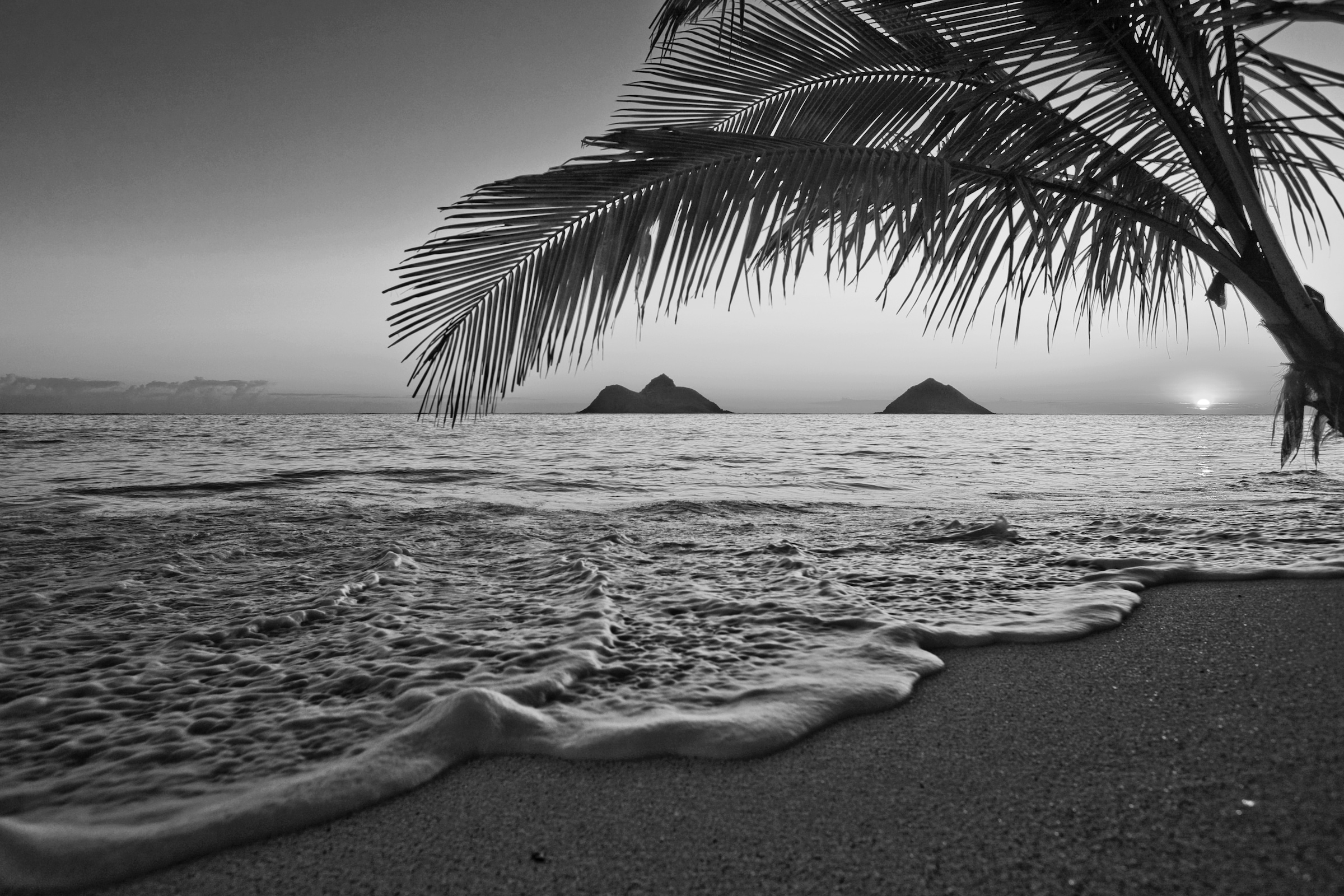 Papermoon Fototapete »Strand Schwarz & Weiß« günstig online kaufen