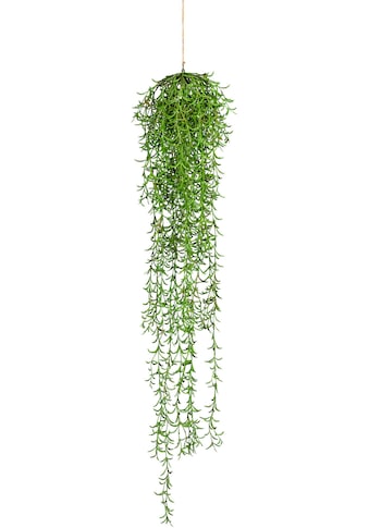 Creativ green Kunstranke »Nerifolia-Hängezopf«, (1 St.) kaufen
