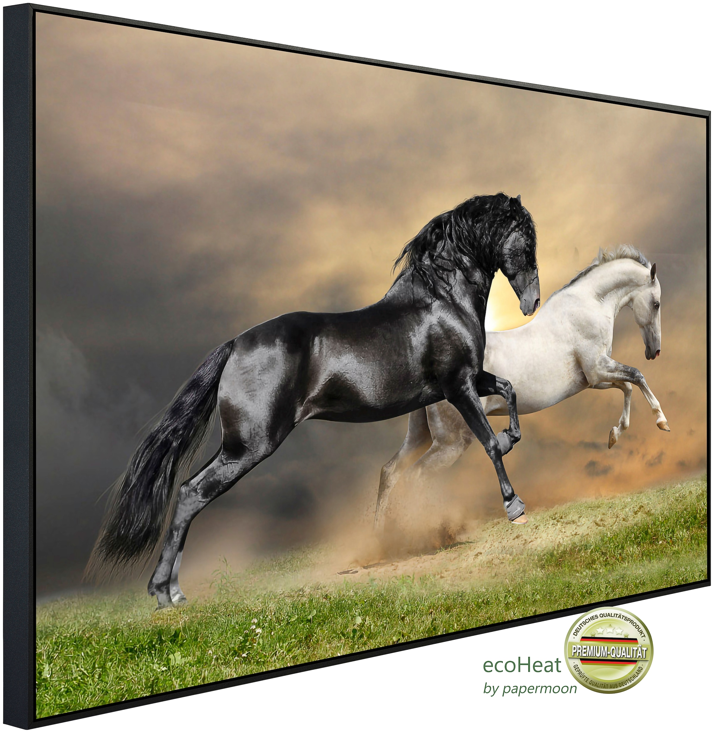 Papermoon Infrarotheizung »Schwarz Weiß Pferde«, sehr angenehme Strahlungsw günstig online kaufen