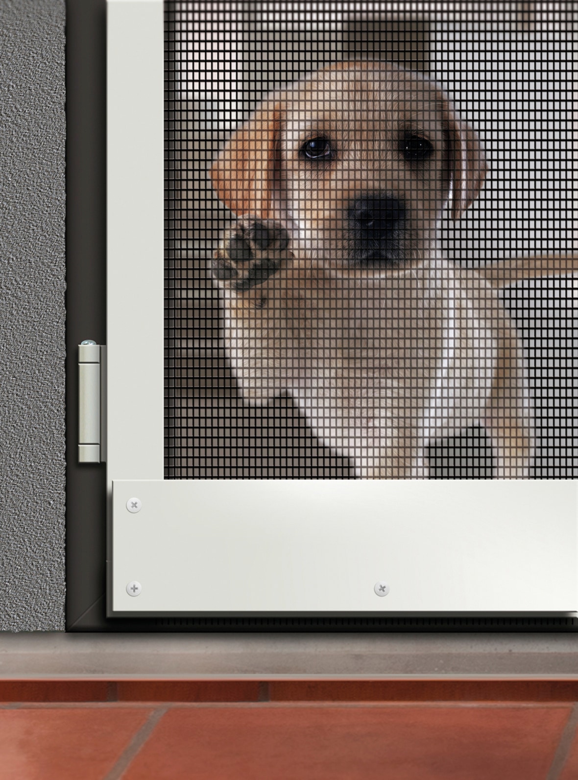 SCHELLENBERG Fliegengitter-Gewebe »Max Protect, kratzsicheres Fliegengitter«, für Fenster, Balkontür, Terrassentür, 120 x 150 cm, anthrazit