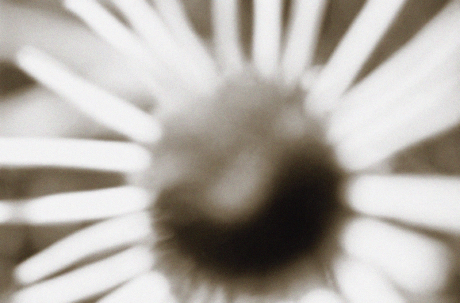 queence Wandsticker »The Sun« Selbstklebend, kinderleichte Anbringung