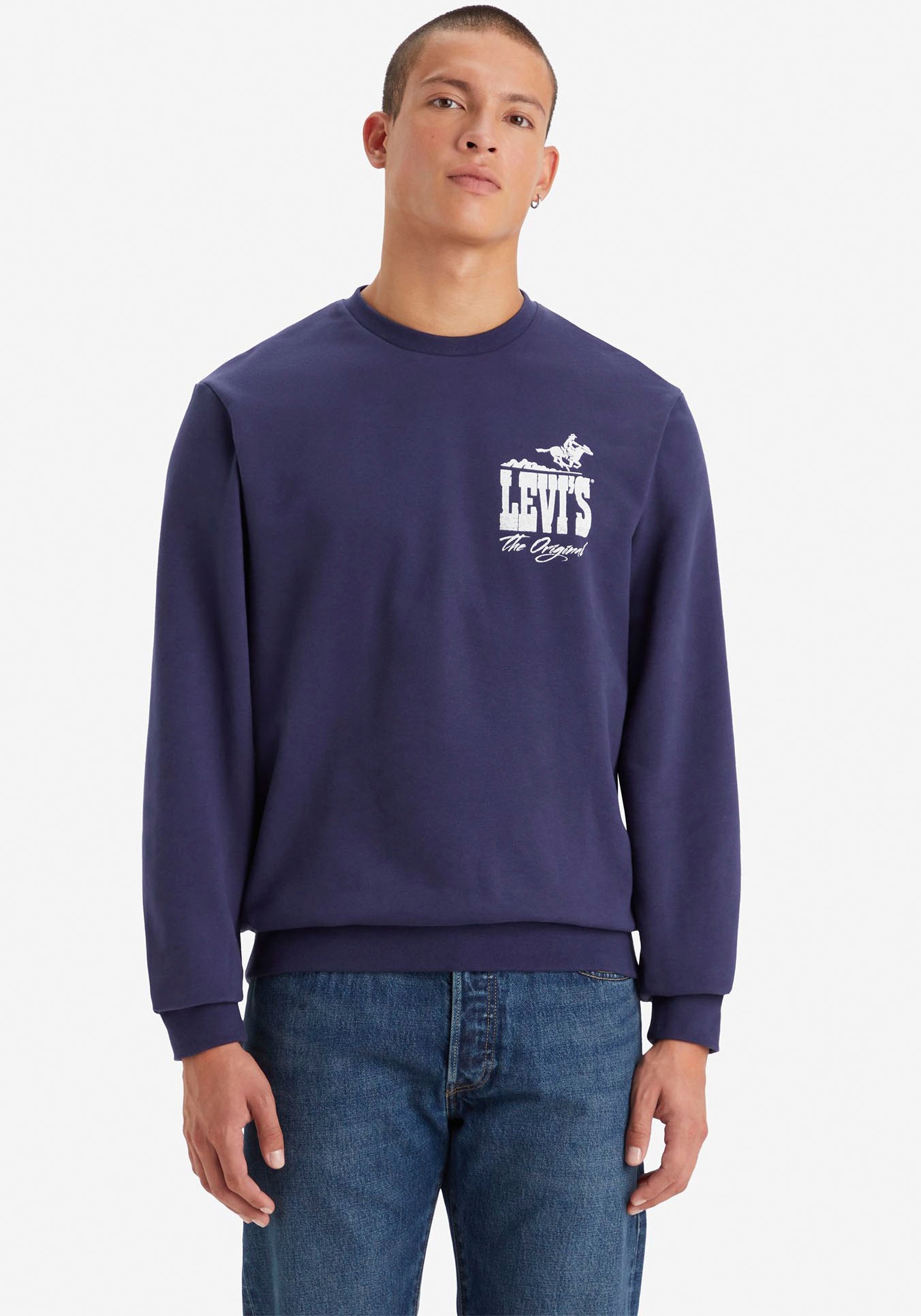 Levi's® Sweatshirt »STANDARD GRAPHIC CREW BLUES«