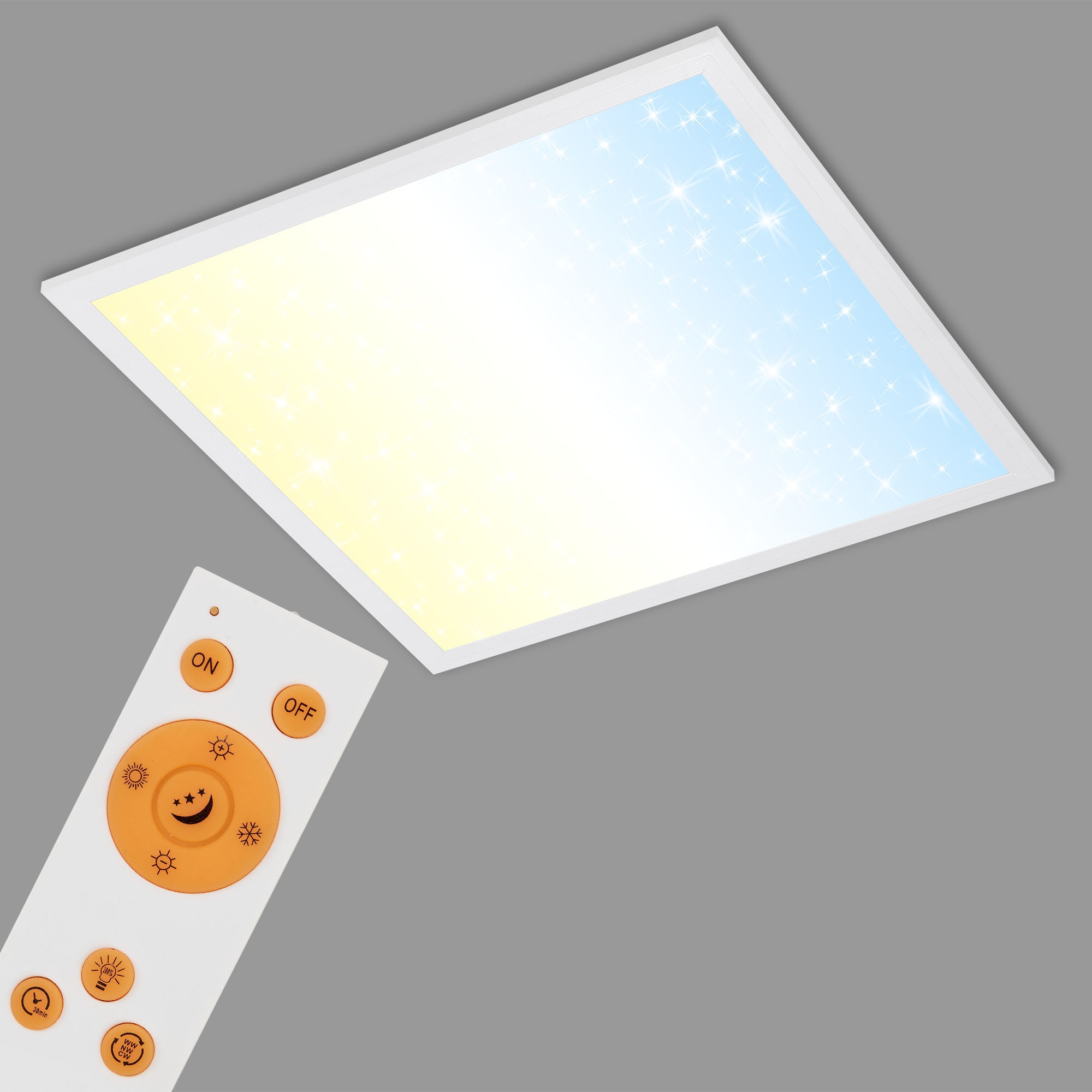 Briloner Leuchten LED Panel »PALLAS« mit Fernbedienung