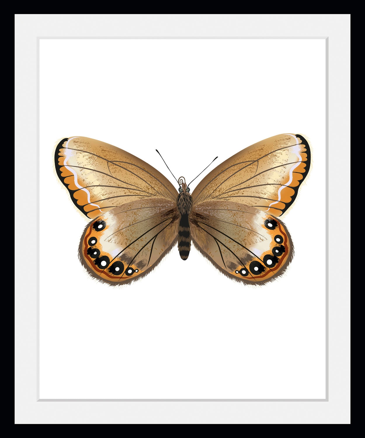 queence Bild »Lexy« Insekten   Kunst   Schmetterlinge 1 Stk. tlg. HD Premiu günstig online kaufen