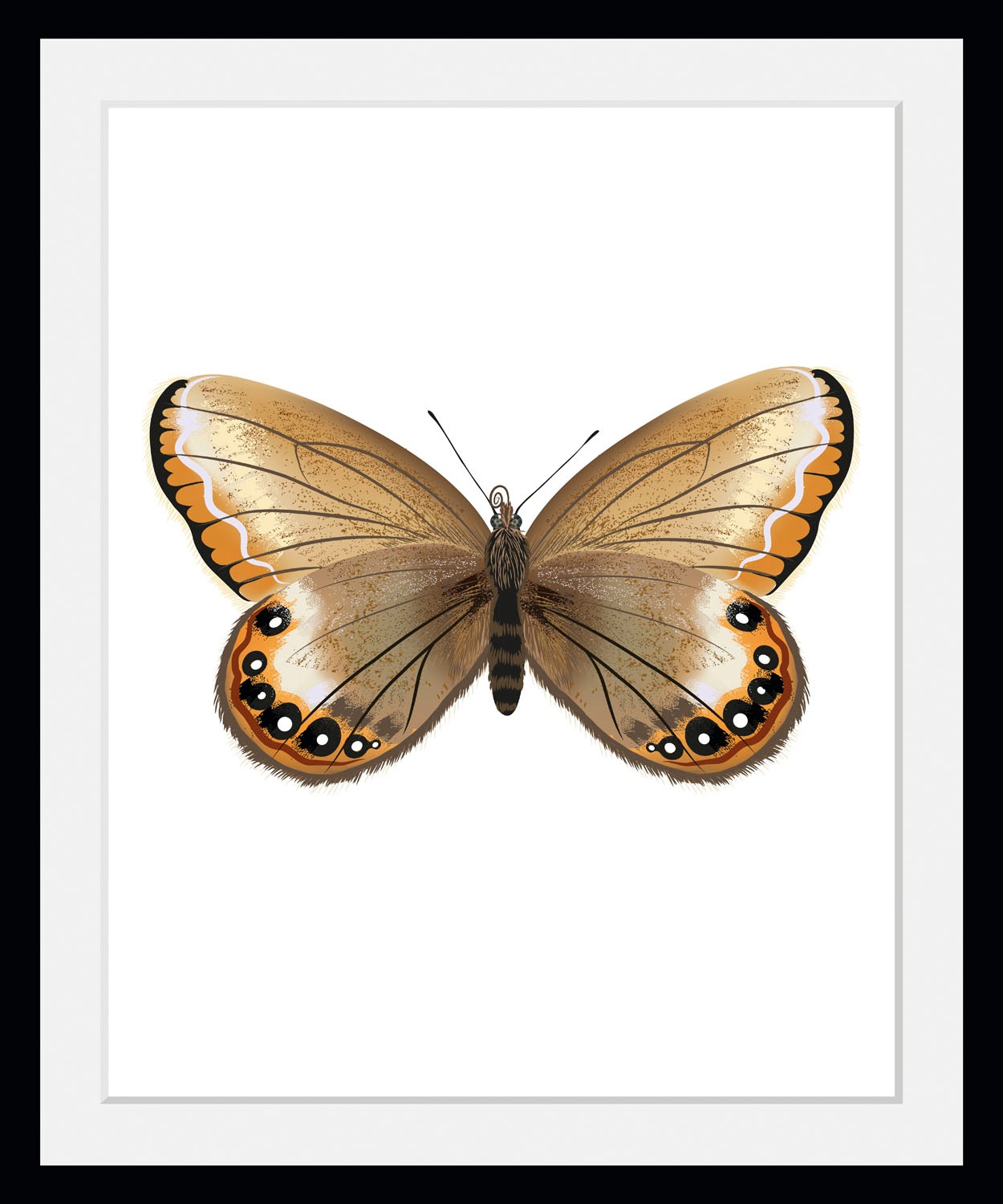 queence Bild »Lexy«, Schmetterlinge-Kunst-Insekten, (1 St.), HD Premium Pos günstig online kaufen