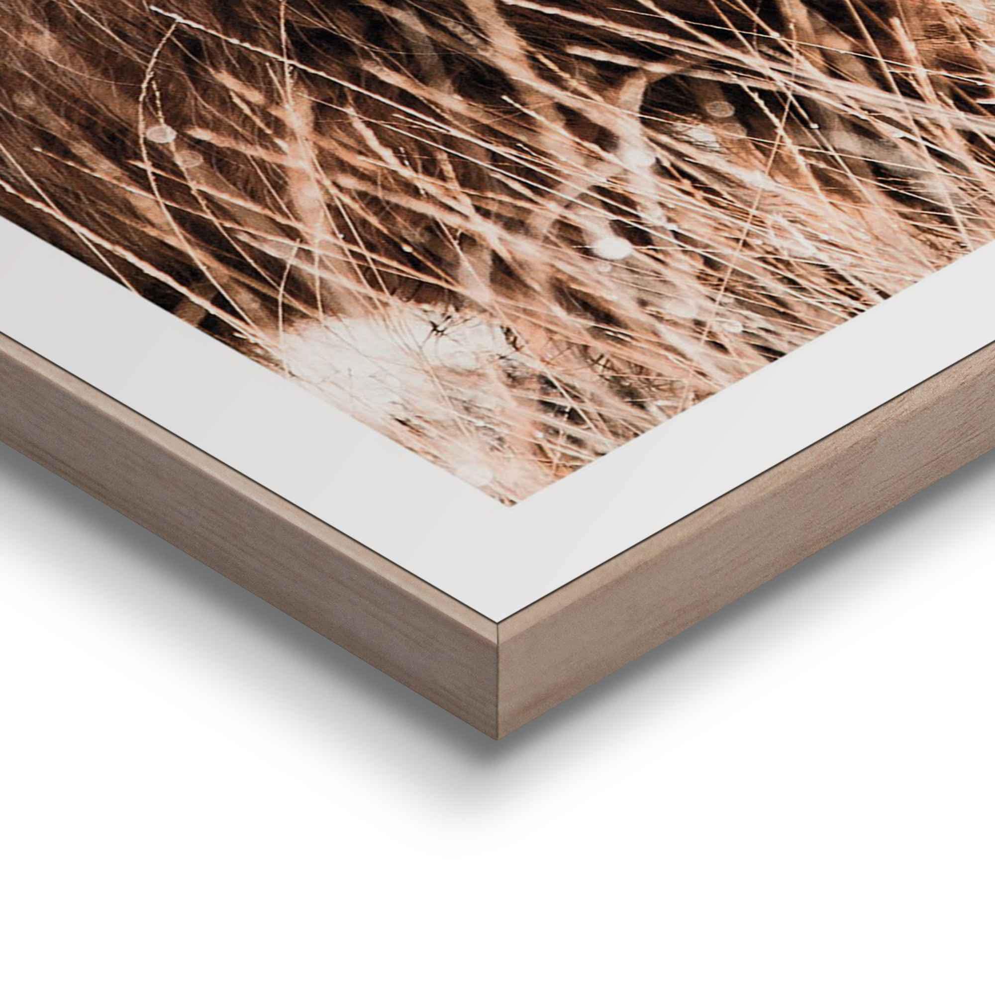 Reinders! Wandbild »Freie Natur Highlander - Kuh - Heide - Strand - Ruhe« 2 Stk. tlg.