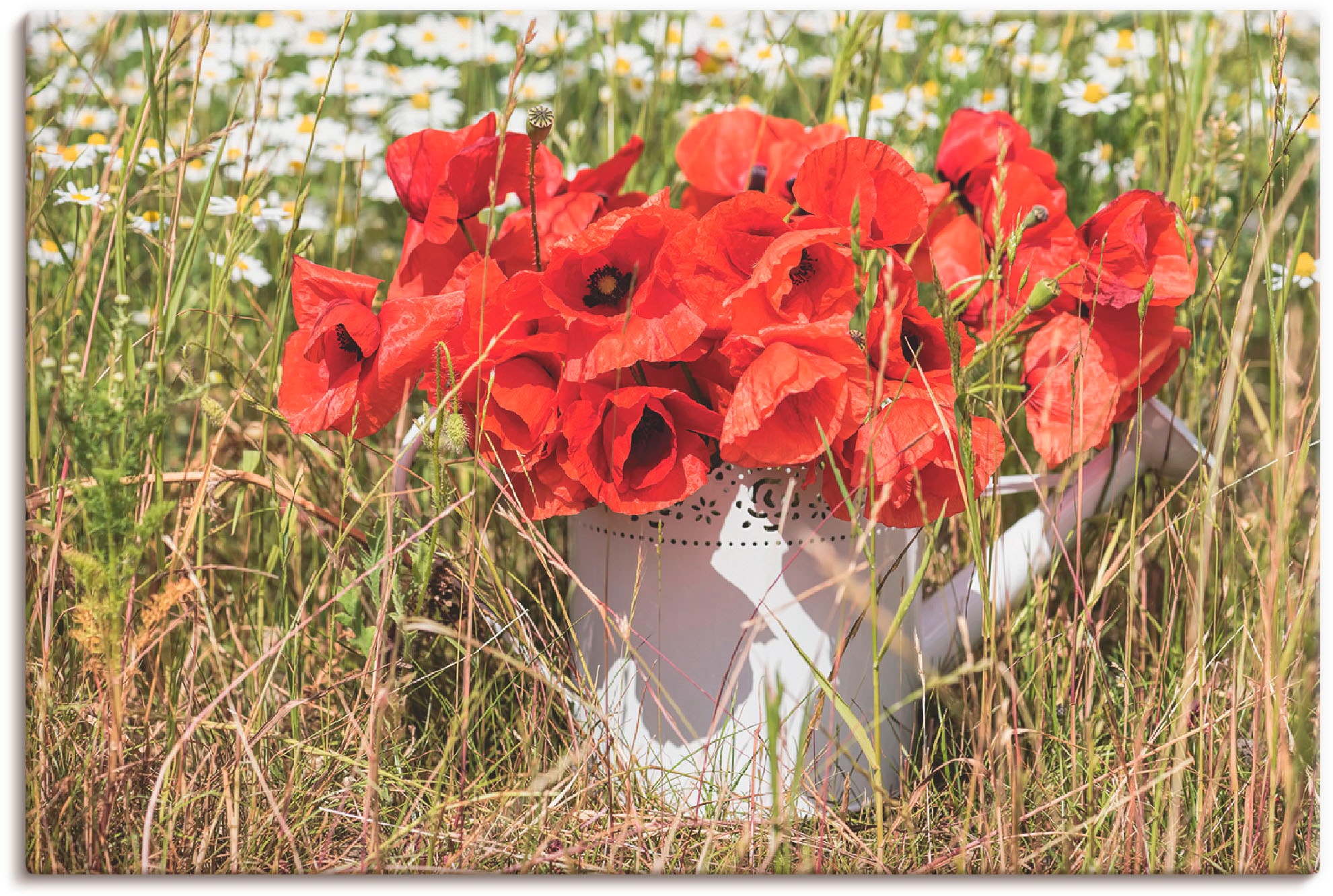 Artland Leinwandbild »Mohnblüten im Feld«, Blumenwiese, (1 St.), auf Keilra günstig online kaufen