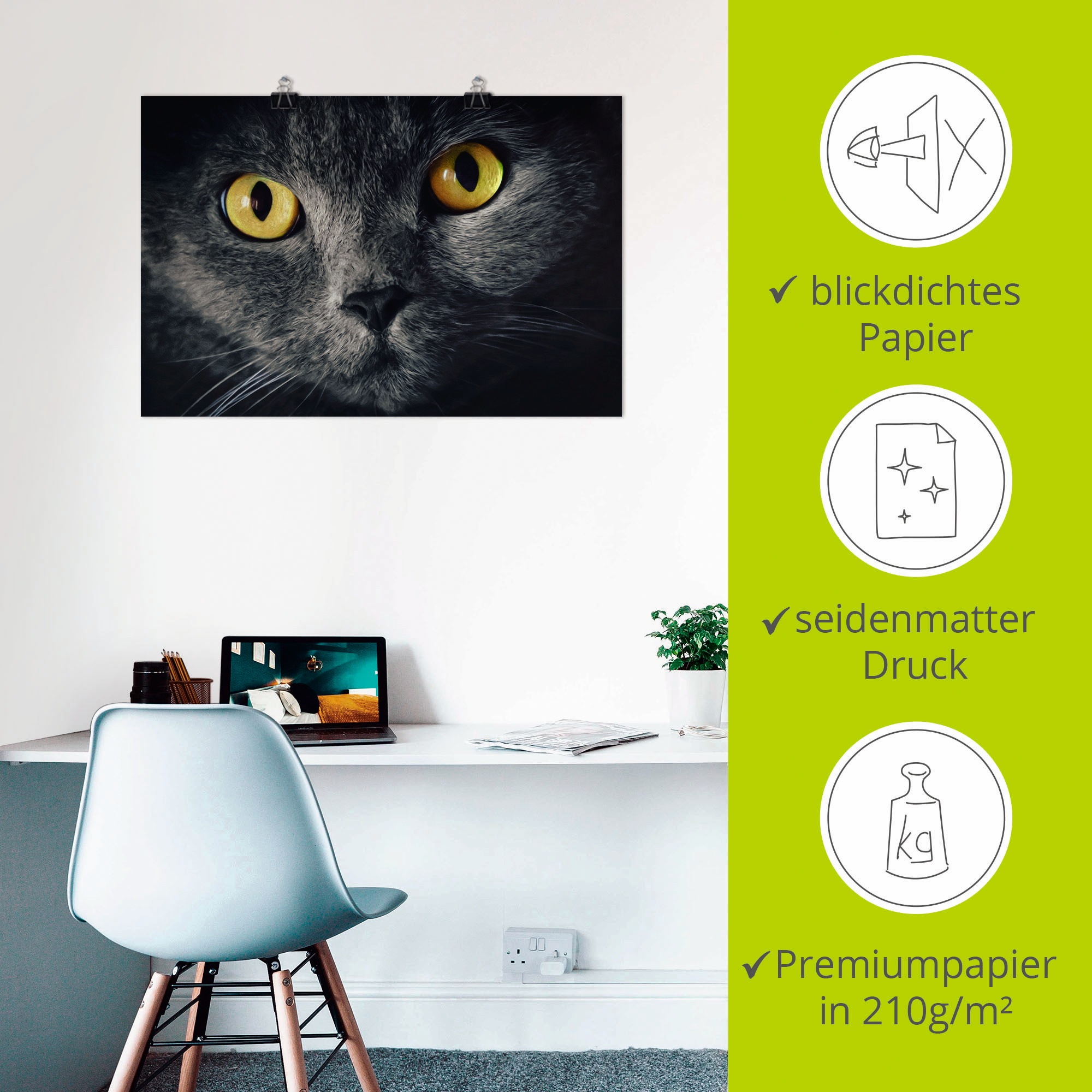 Artland Poster »Katzenaugen« Haustiere 1 Stk. tlg. ohne Rahmen