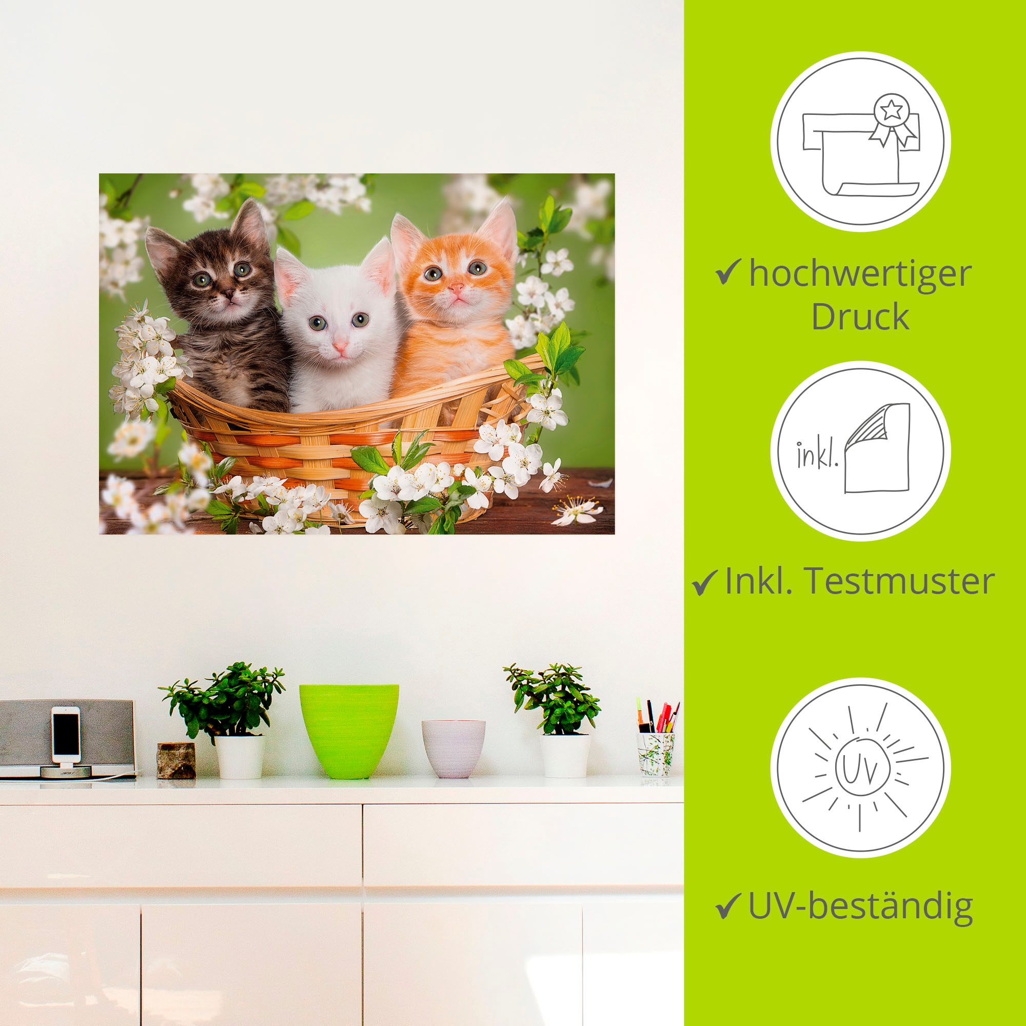 Artland Wandbild »Katzen sitzen in einem Korb«, Haustiere, (1 St.), als Leinwandbild, Poster, Wandaufkleber in verschied. Größen