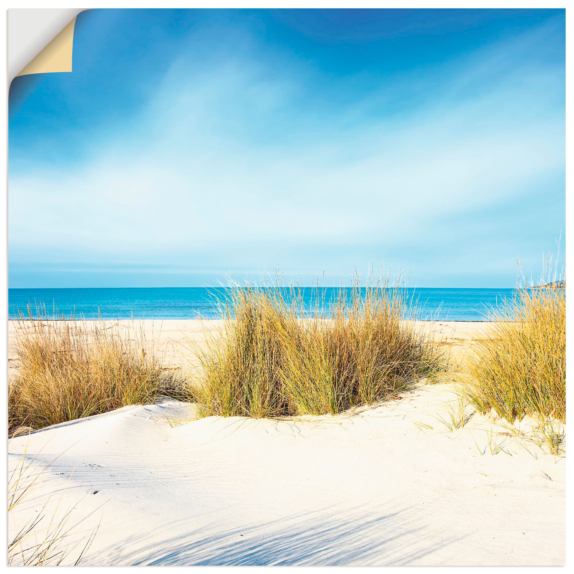 Artland Wandbild »Gras auf Sanddünen«, Strand, (1 St.), als Leinwandbild, P günstig online kaufen