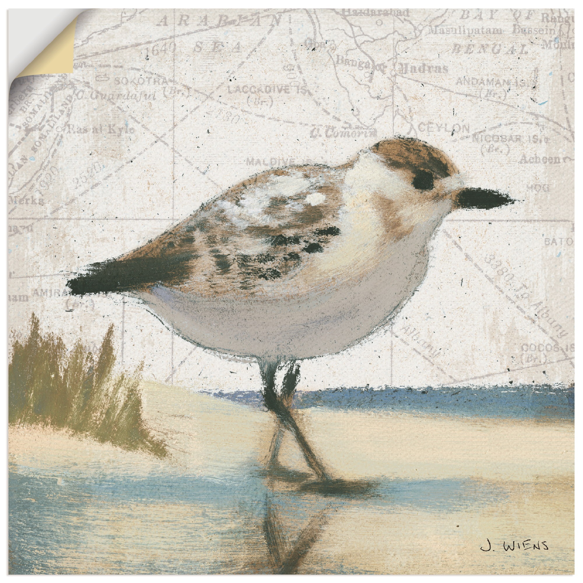 Artland Wandbild »Möwe I«, Vögel, (1 St.), als Leinwandbild, Wandaufkleber in verschied. Größen