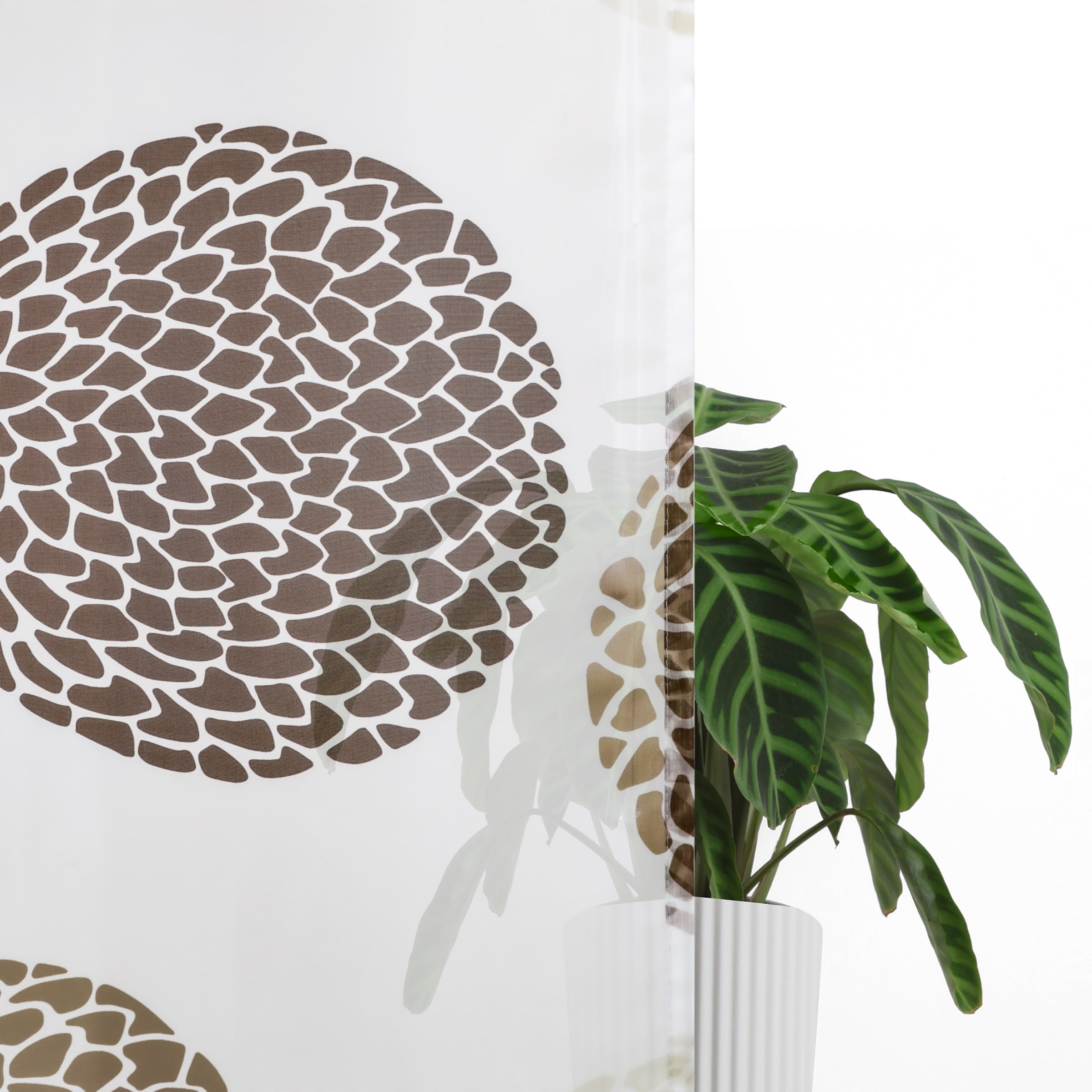 OTTO home Raffrollo »Belem« mit Schlaufen Transparent, Voile, Polyester