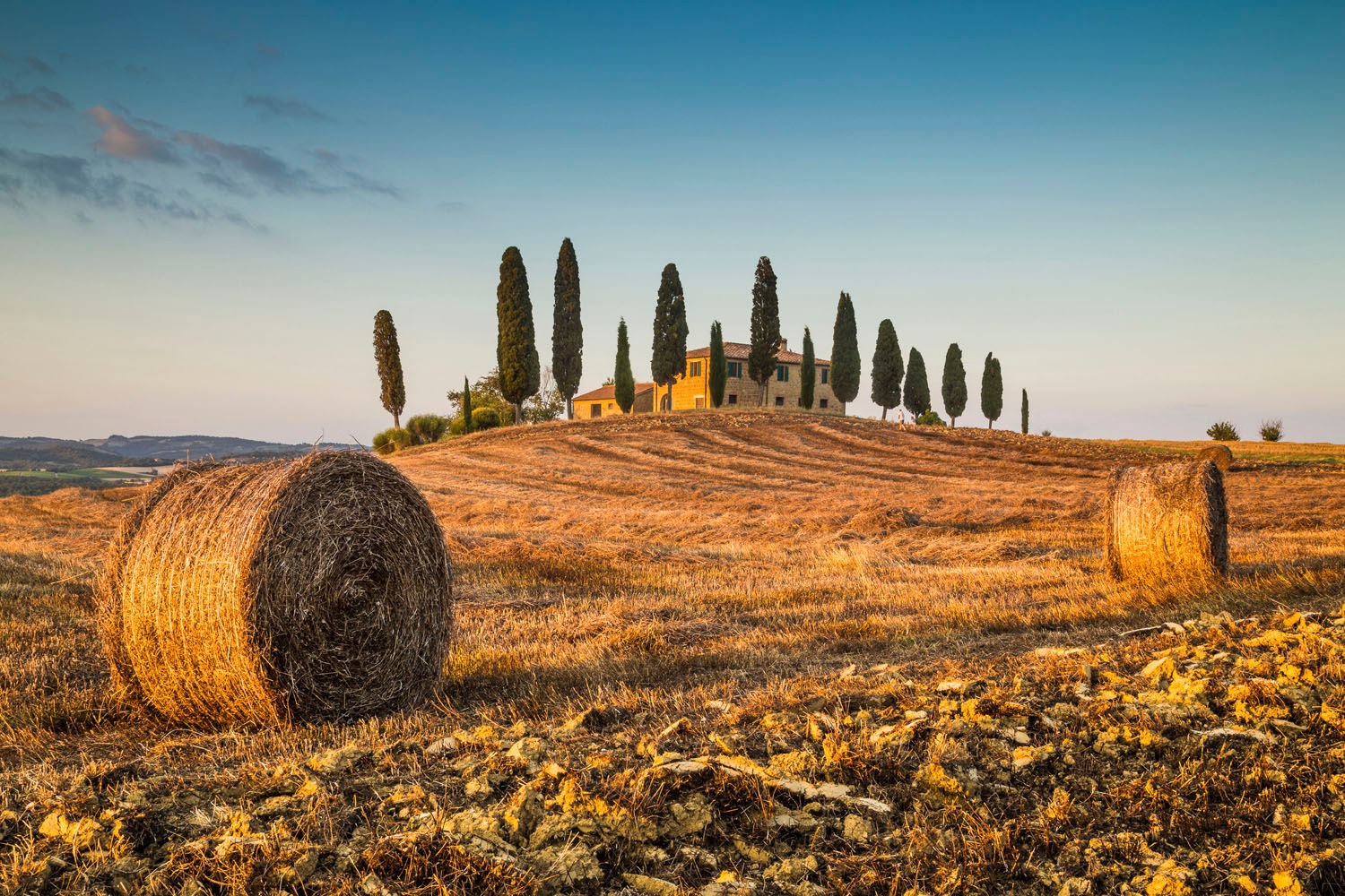 queence Acrylglasbild »Elida« Gebäude   Italien   Landschaft   Tannenbaum 1 günstig online kaufen
