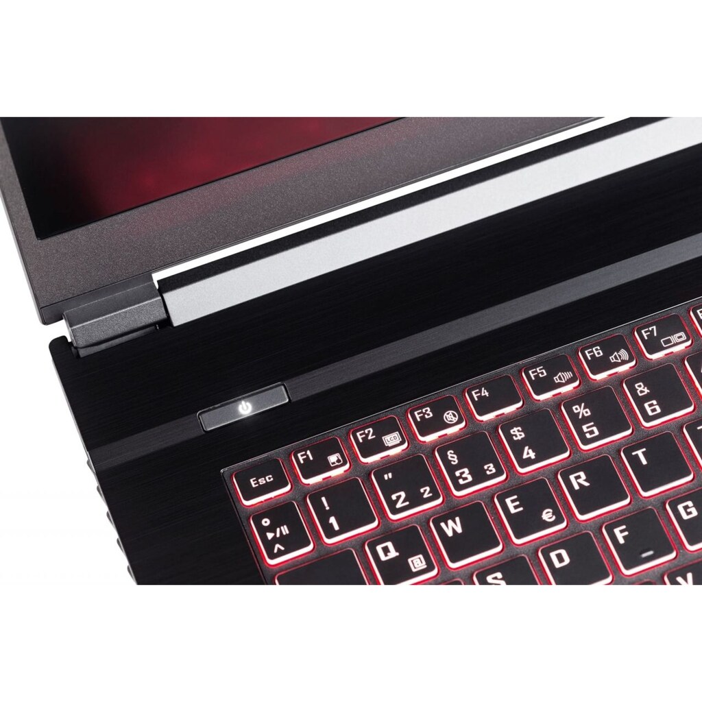 CAPTIVA Gaming-Notebook »Advanced Gaming I59-214«, 43,9 cm, / 17,3 Zoll, Intel, Core i5, GeForce RTX 2060, 1000 GB SSD