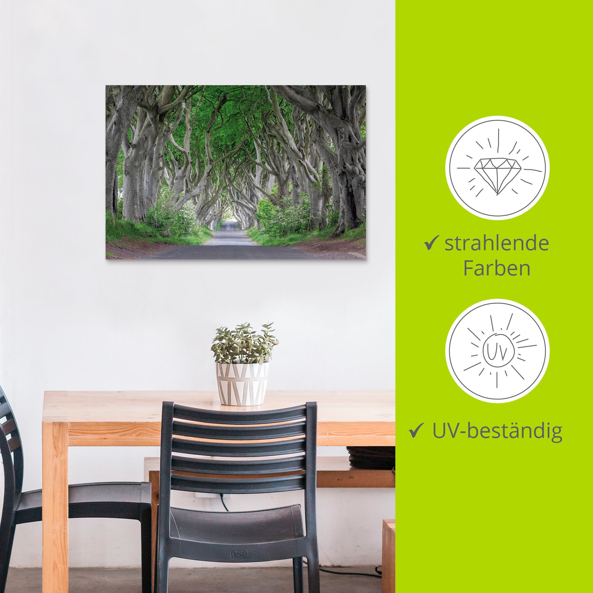 Artland Wandbild »Straße durch den Zauberwald«, Waldbilder, (1 St.), als Alubild, Outdoorbild, Leinwandbild in verschied. Größen