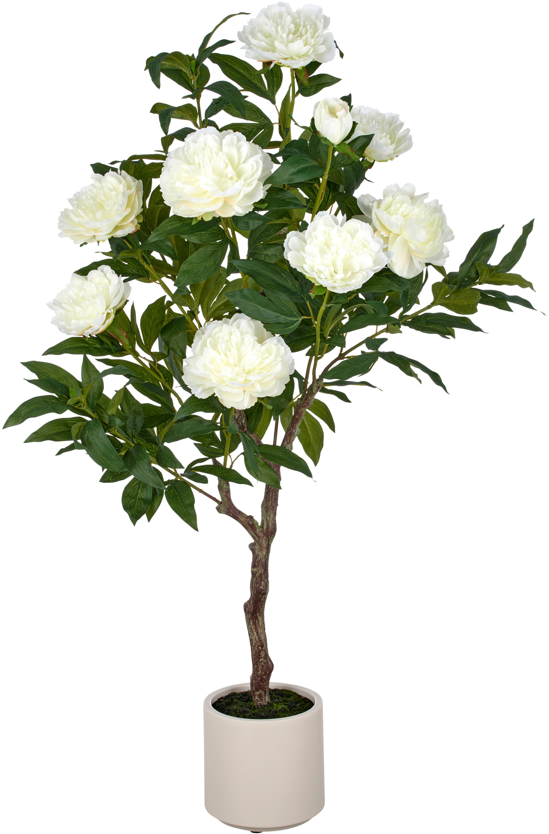 Creativ green Kunstpflanze »Peonie« im eleganten Topf günstig online kaufen