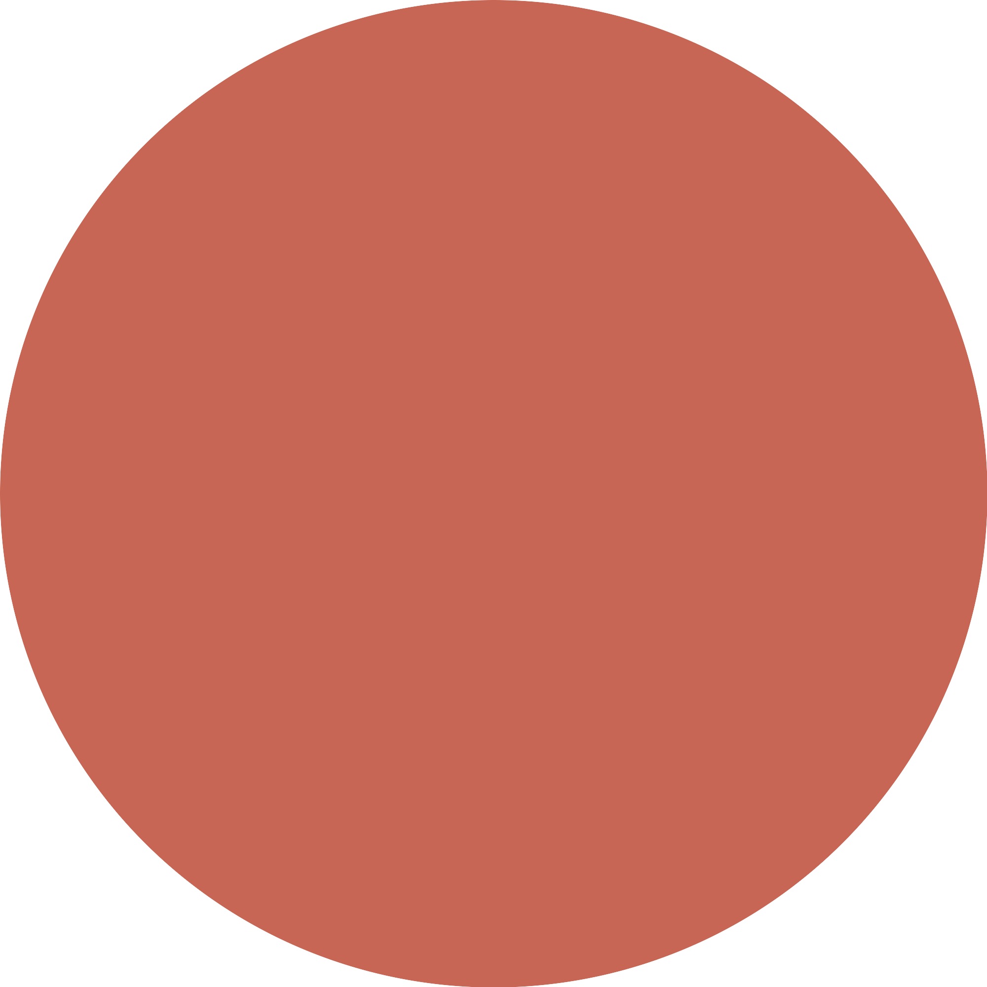 Catrice Rouge »Soft Blur Powder Blush«