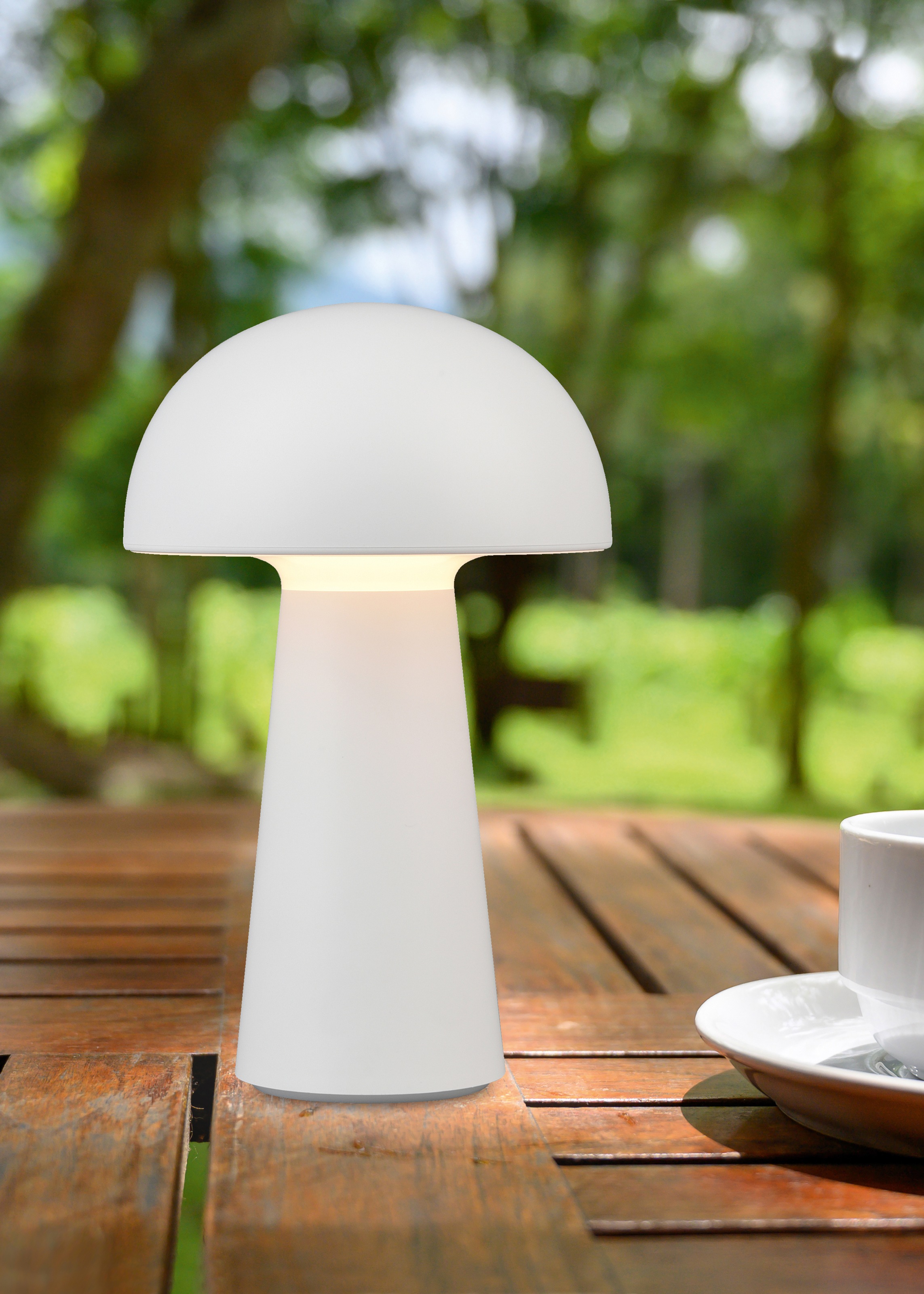 REALITY Leuchten LED Außen-Tischleuchte »Lennon«, 2-er Set, Schutzart IP44, günstig online kaufen