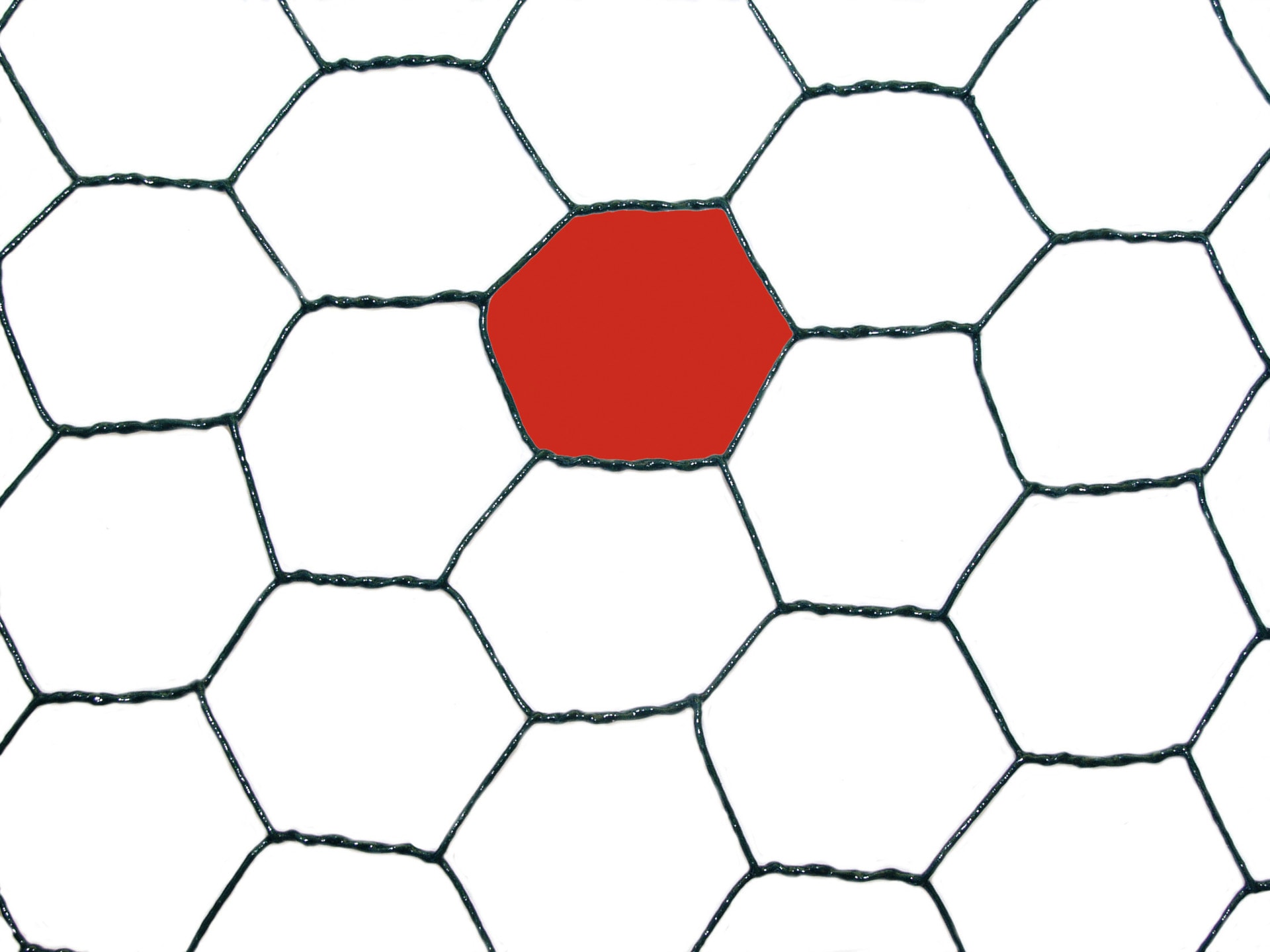 Windhager Voliere »für Hasen, Hühner und Vögel, Kleintiergeflecht« Sechseck-Geflecht erhältlich in unterschiedlichen Größen, grün