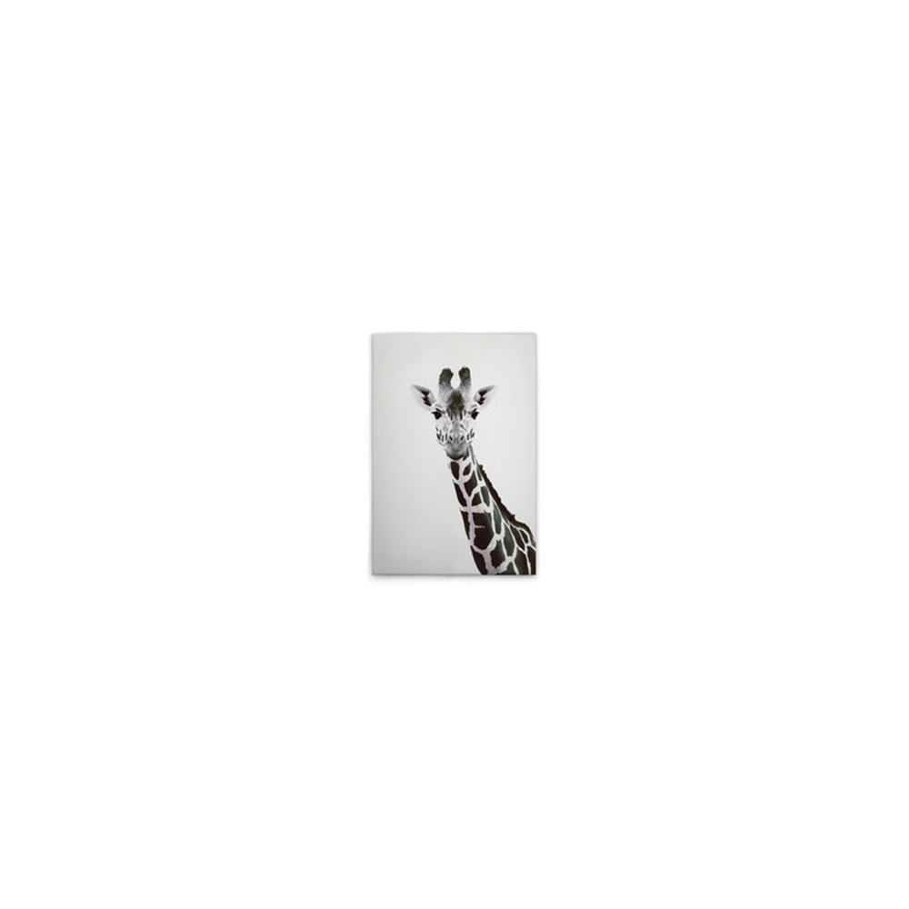 A.S. Création Leinwandbild »Giraffe Portrait - Wandbild Schwarz Weiß Keilra günstig online kaufen