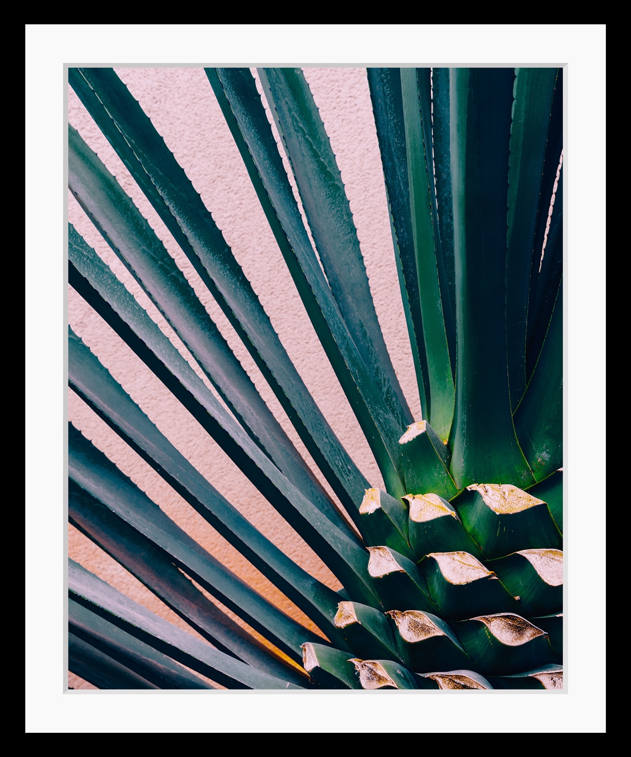 queence Bild Blätter   Foto   Kunst   Palmen   Stechpalmen HD Premium Poste günstig online kaufen