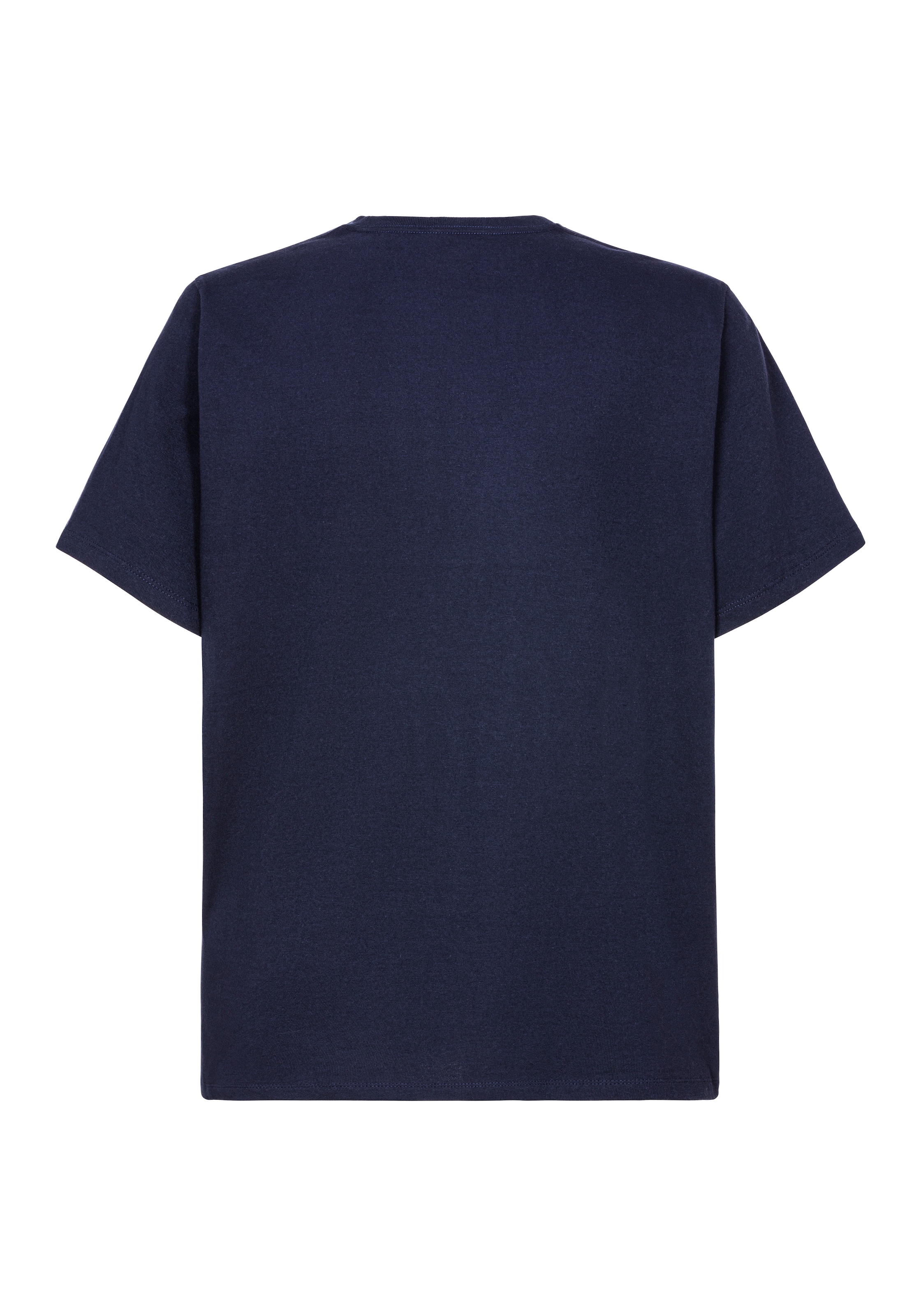 Levi's® Plus T-Shirt »LE BIG ORIGINAL HM TEE«