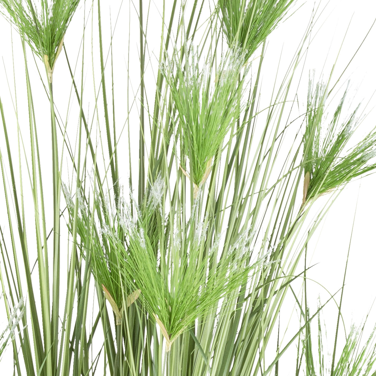 Creativ green Kunstgras »Zyperngras«, mit sieben Zyperngrasblüten