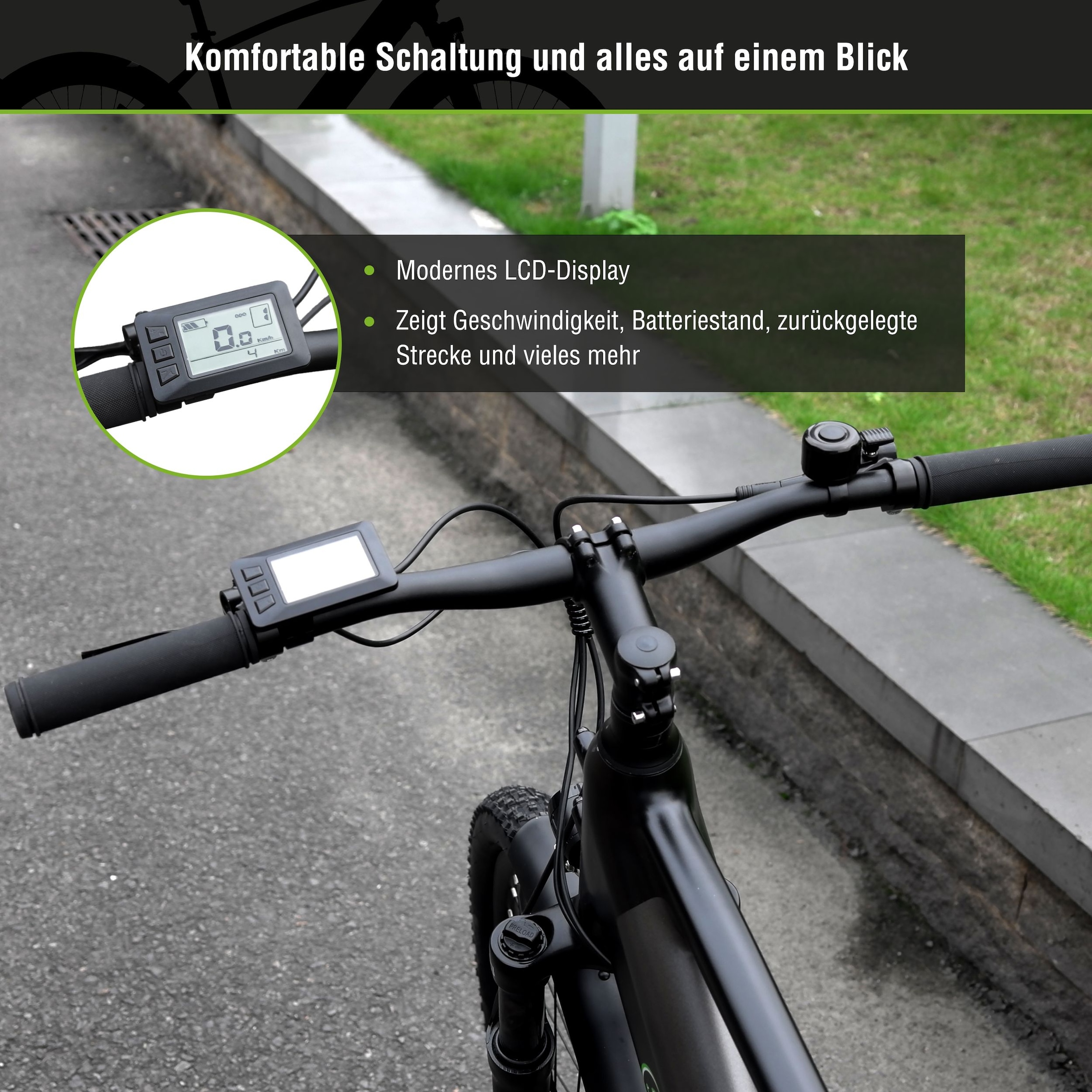 SachsenRad »R8R Flex III mit Riemenantrieb« Shimano ohne Schaltung Heckmotor 250 W