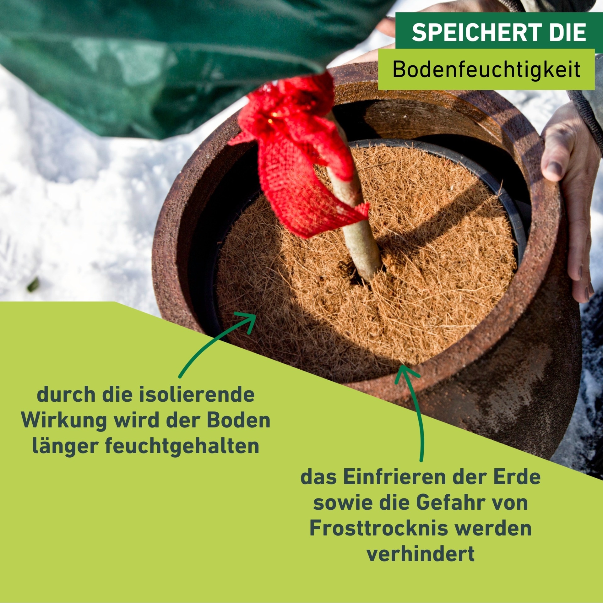Windhager Winterschutzvlies »Cocodisc, Frostschutz Mulchscheibe für Pflanzen« 1 Stk. tlg. Kälteschutz aus Kokosfasern, erhältlich mit Ø 37 cm oder 60 cm