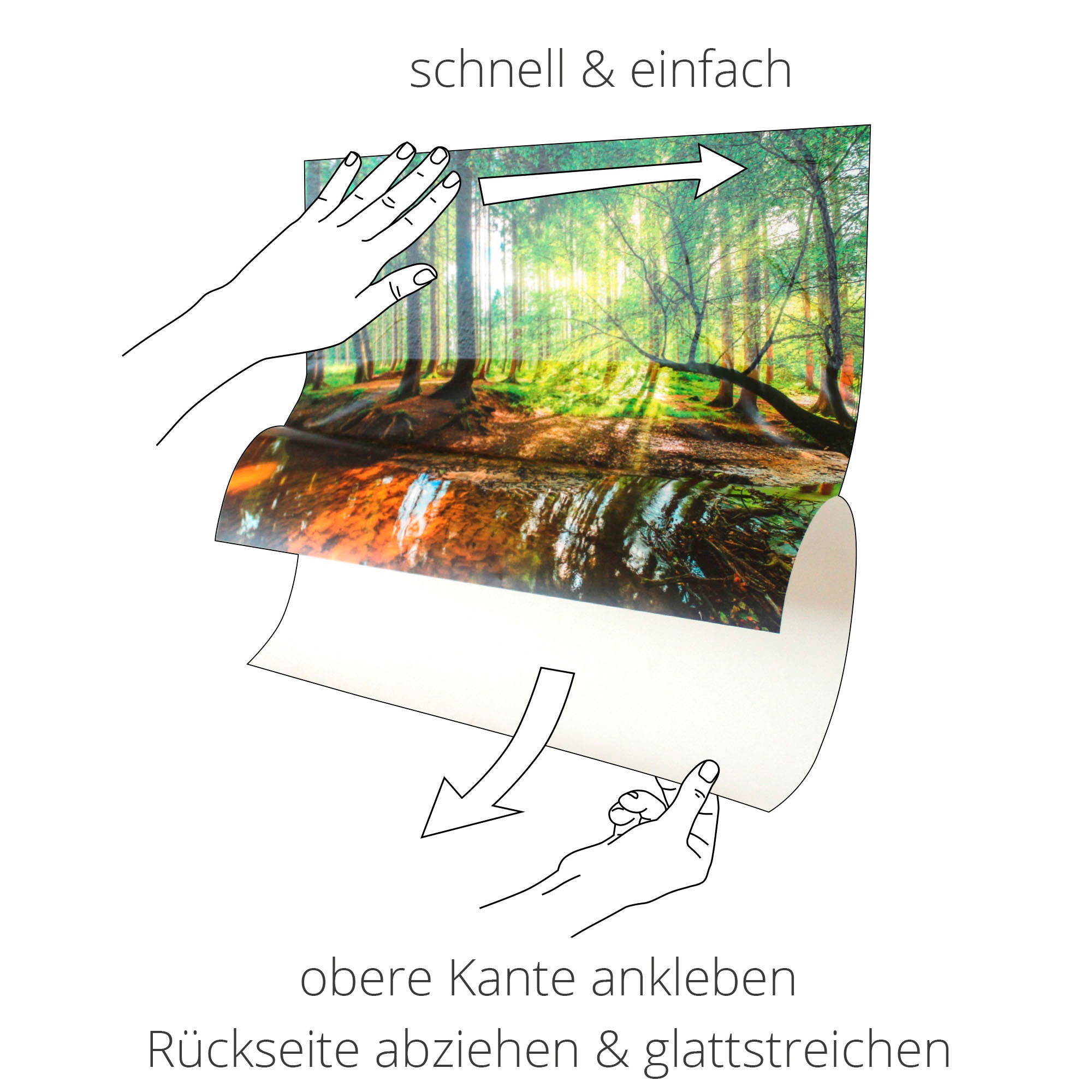 Artland Wandbild »Wald kaufen St.), Poster (1 Alubild, als Leinwandbild, oder online in versch. Wald, mit Wandaufkleber Bach«, Größen