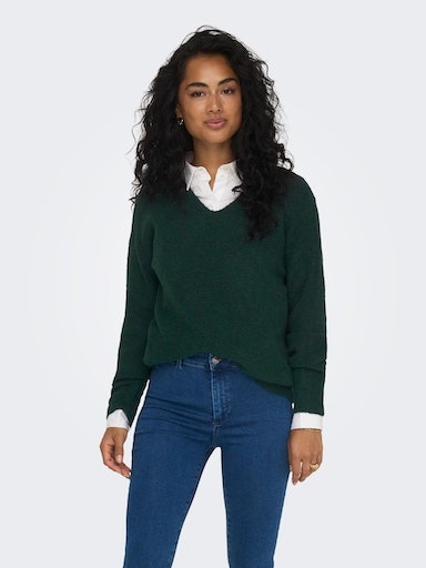ONLY V-Ausschnitt-Pullover »ONLCAMILLA V-NECK L/S PULLOVER KNT NOOS«