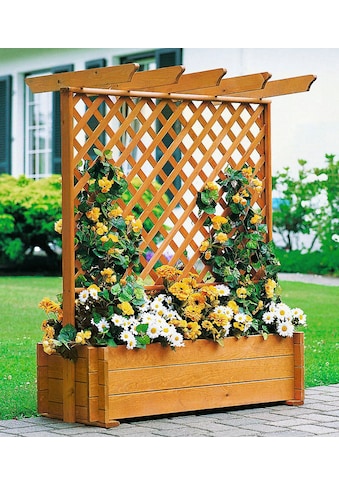 Spalier, Pergola mit Pflanzkasten, BxTxH: 102x65x140 cm