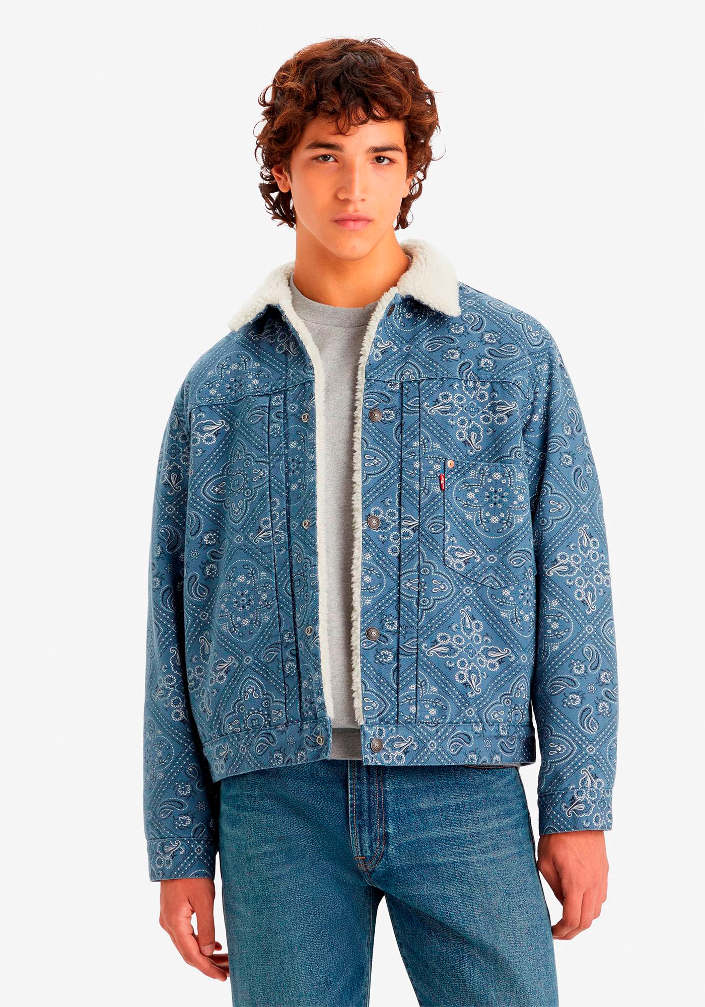 Jeansjacke »TYPE 1 SHERPA TRUCKER BLUES«