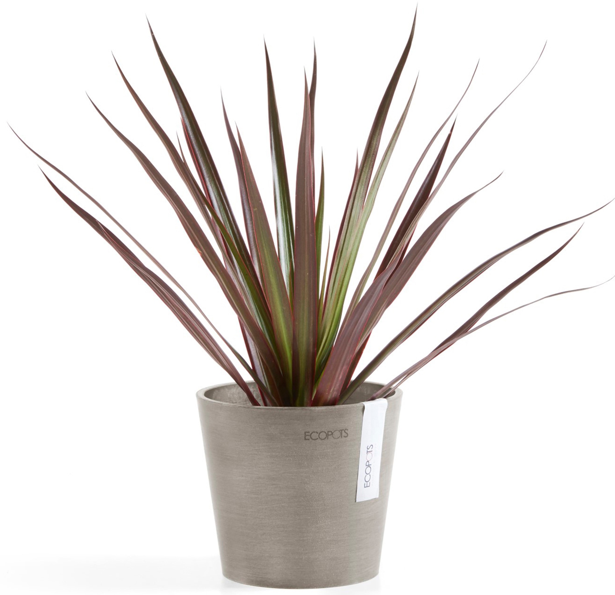 ECOPOTS Blumentopf »Amsterdam Mini 13 Taupe«, für den Innenbereich