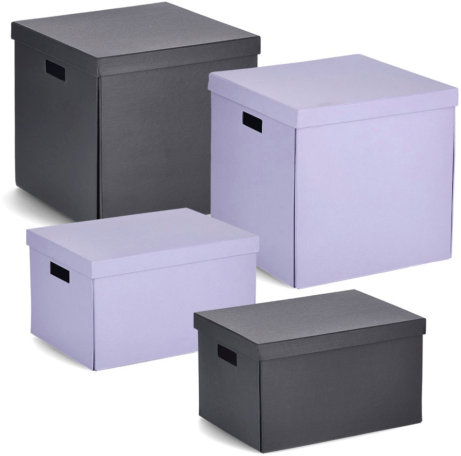 Zeller Present Aufbewahrungsbox, (1 St.), bestellen Karton recycelter online beschriftbar