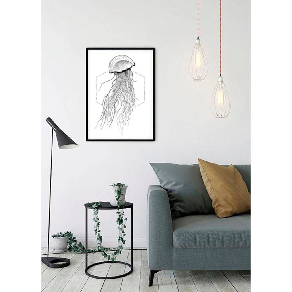 Komar Poster »Jellyfish White«, Tiere, (1 St.)