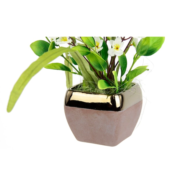 Topf I.GE.A. bestellen auf Keramik Rechnung aus »Arrangement Kunstblume Allium«,