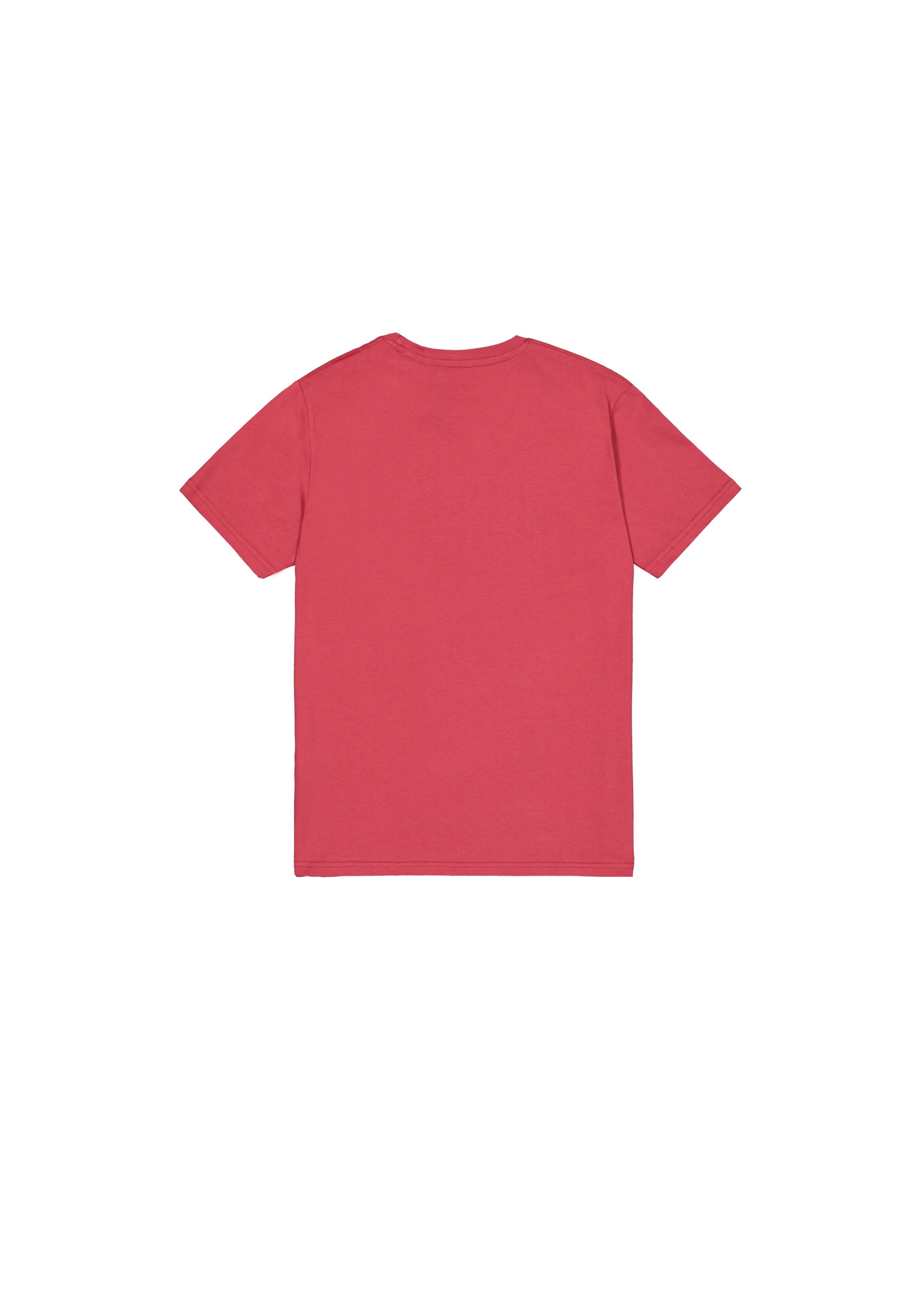 Alpha Industries T-Shirt »Basic T-Shirt BL«