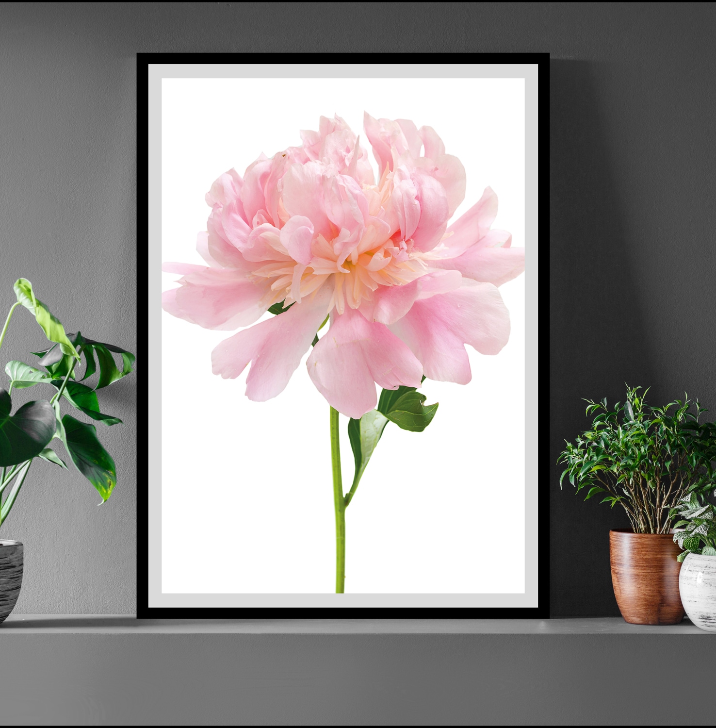 queence Bild »Beate« Blumenbilder   Blätter   Foto   Kunst günstig online kaufen