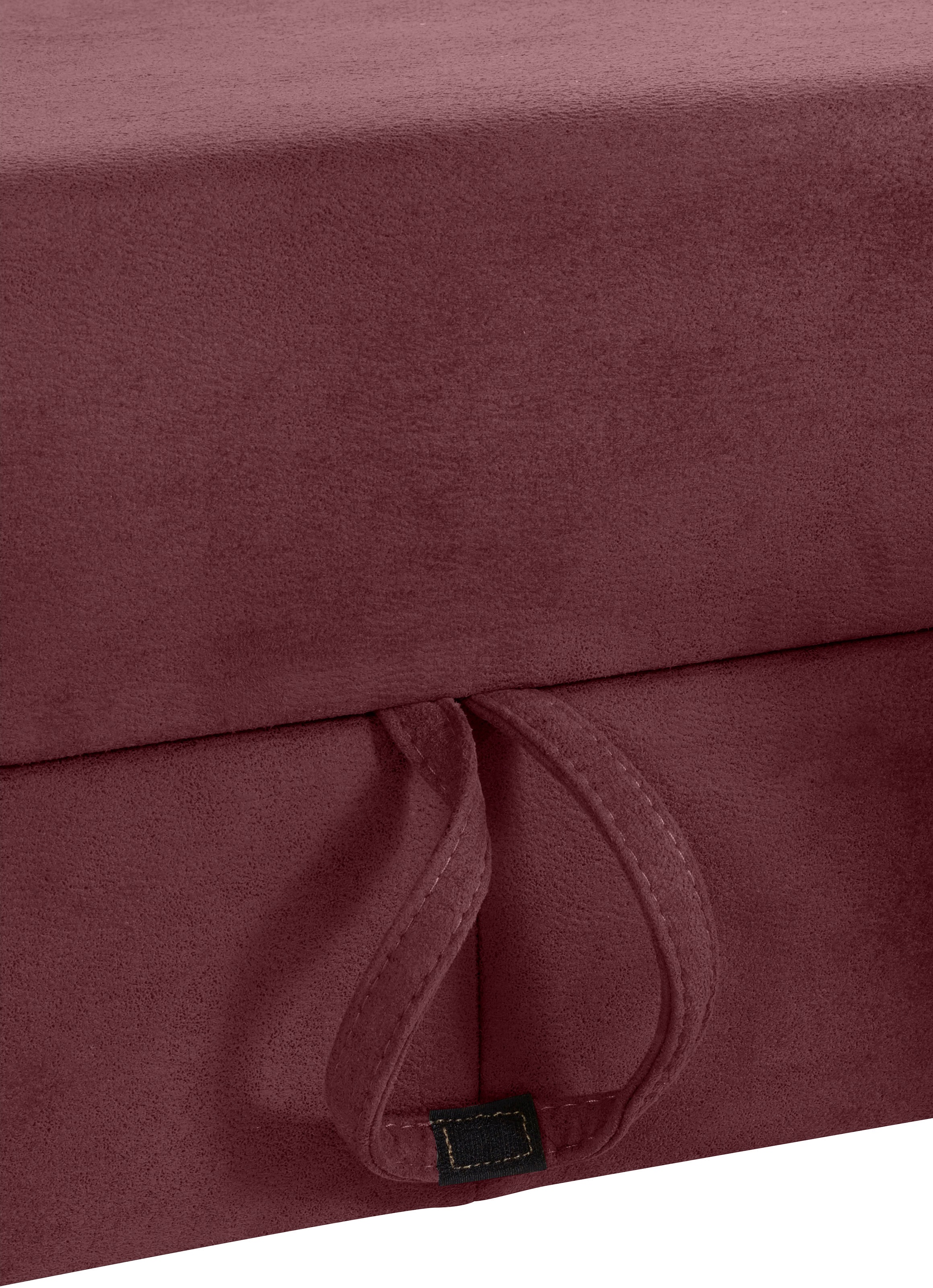 sit&more Ecksofa »Darwin L-Form«, inklusive Federkern, wahlweise mit Kopfteilverstellung, Bettfunktion