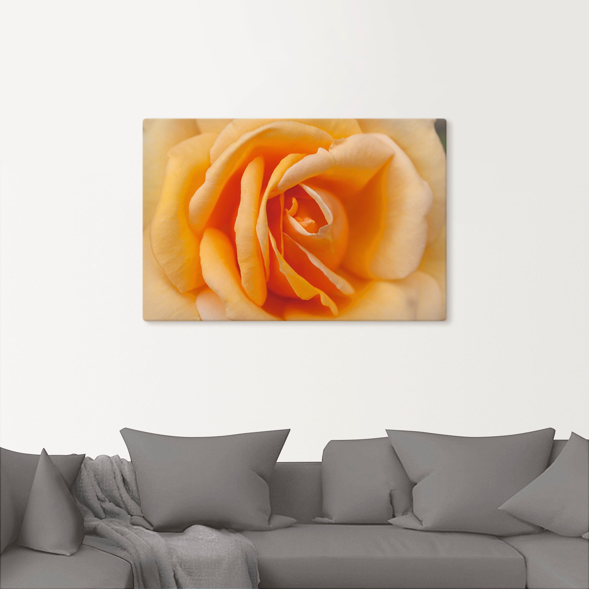 Artland Wandbild »Zarte Rose in Orange«, Blumenbilder, (1 St.), als Leinwandbild, Poster in verschied. Größen