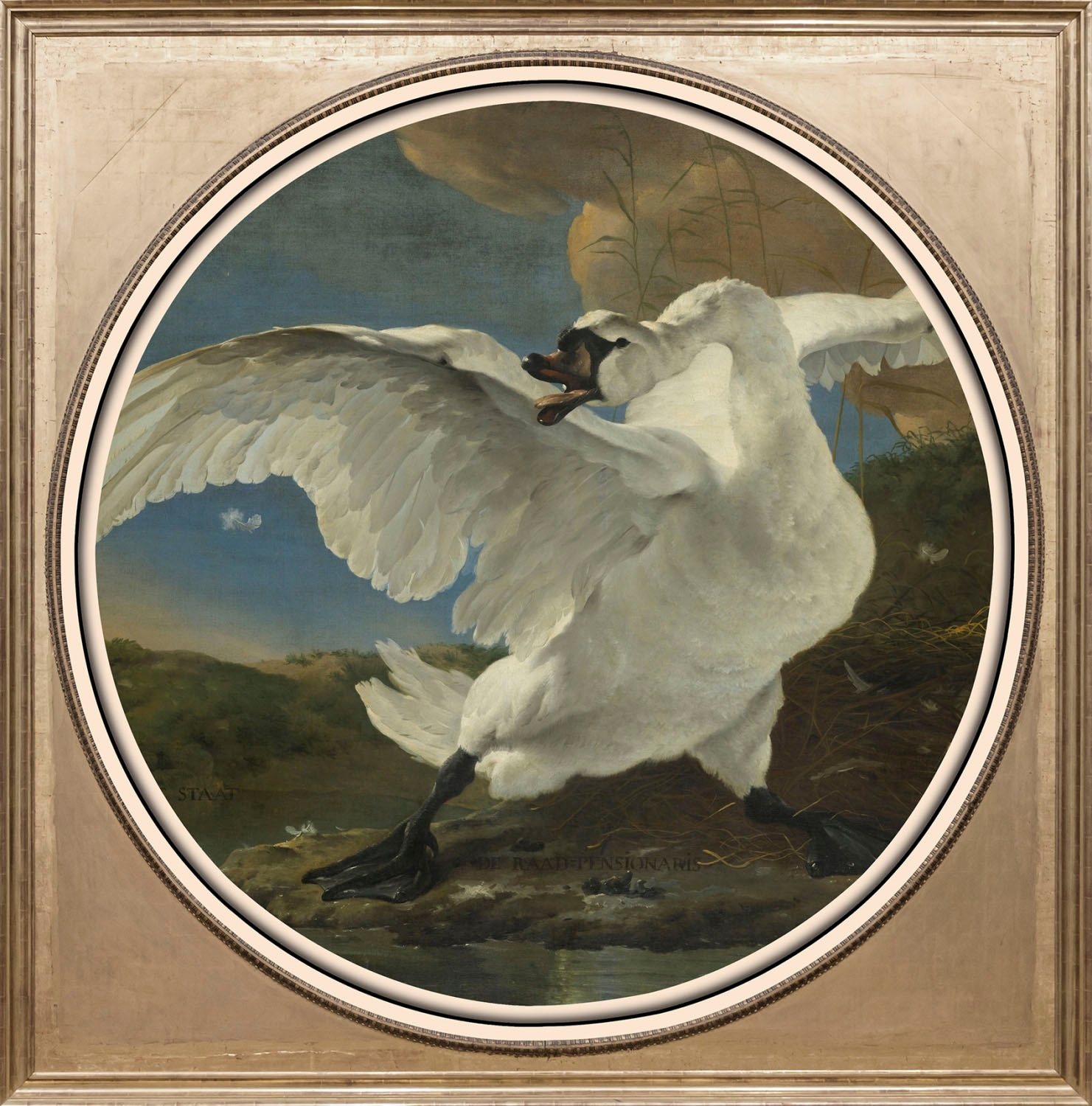 queence Acrylglasbild »Schwan«, Kunst-Vögel-Vogelbilder-Ente-Enten-Gemälde, günstig online kaufen