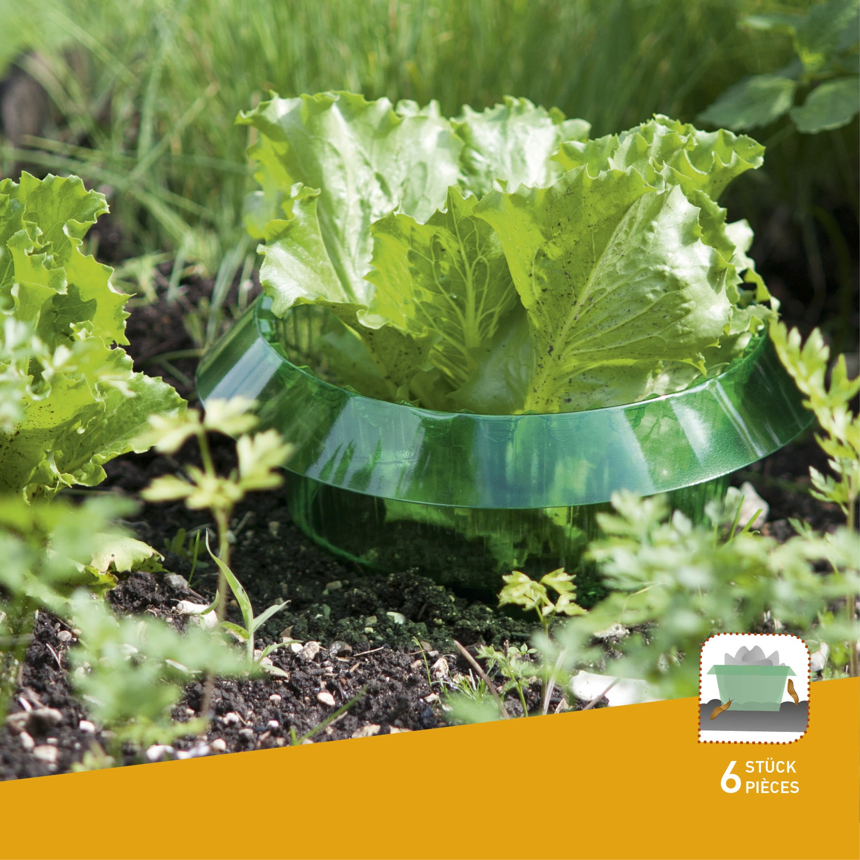 Windhager Schneckenkante »aus PET, Schnecken Schutzring 6 Stk., Ø 23 cm« Schneckenschutz für Gemüsepflanzen wiederverwendbar und recyclebar