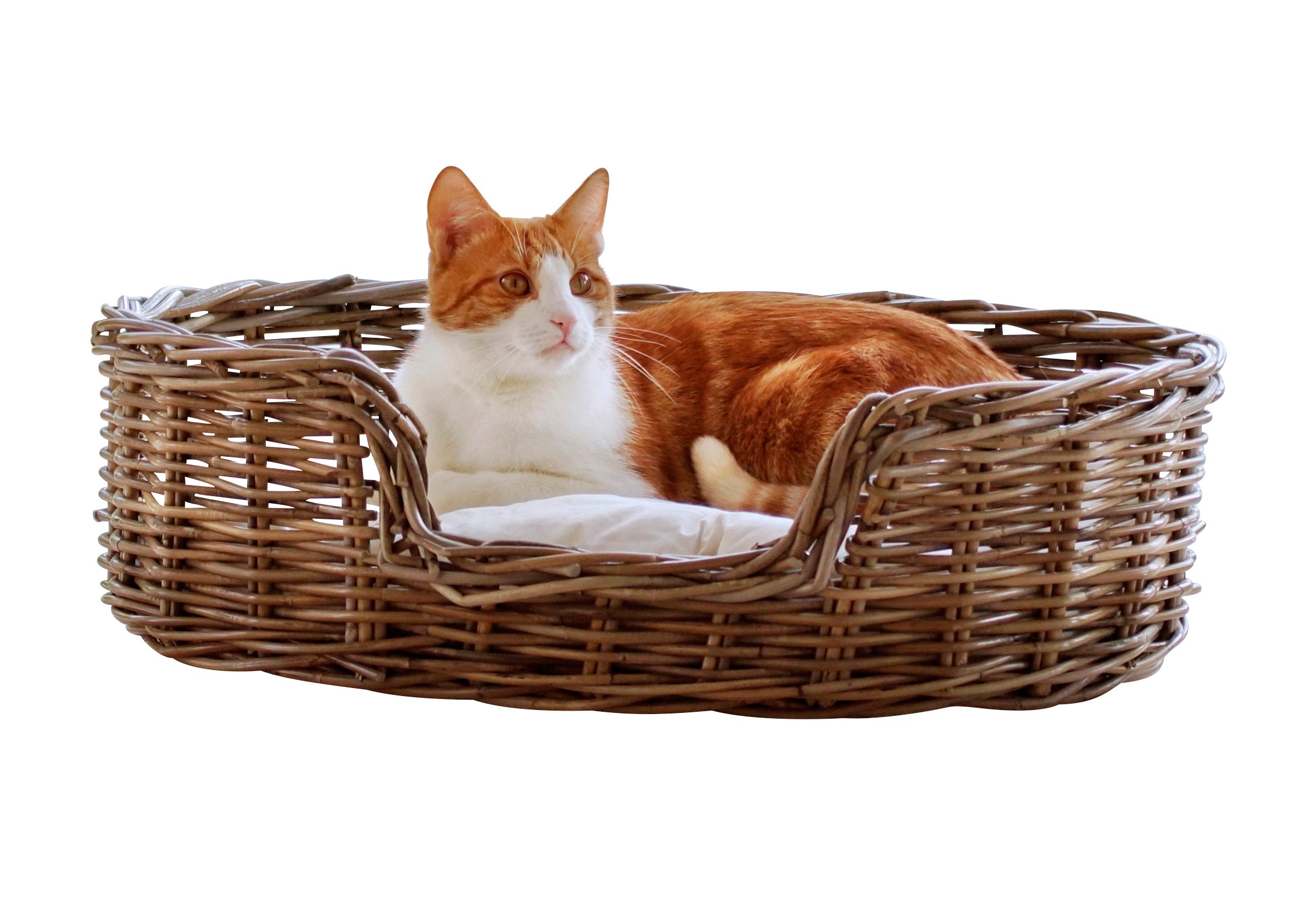 3. Bild von SILVIO design Tierkorb »Rattan«
