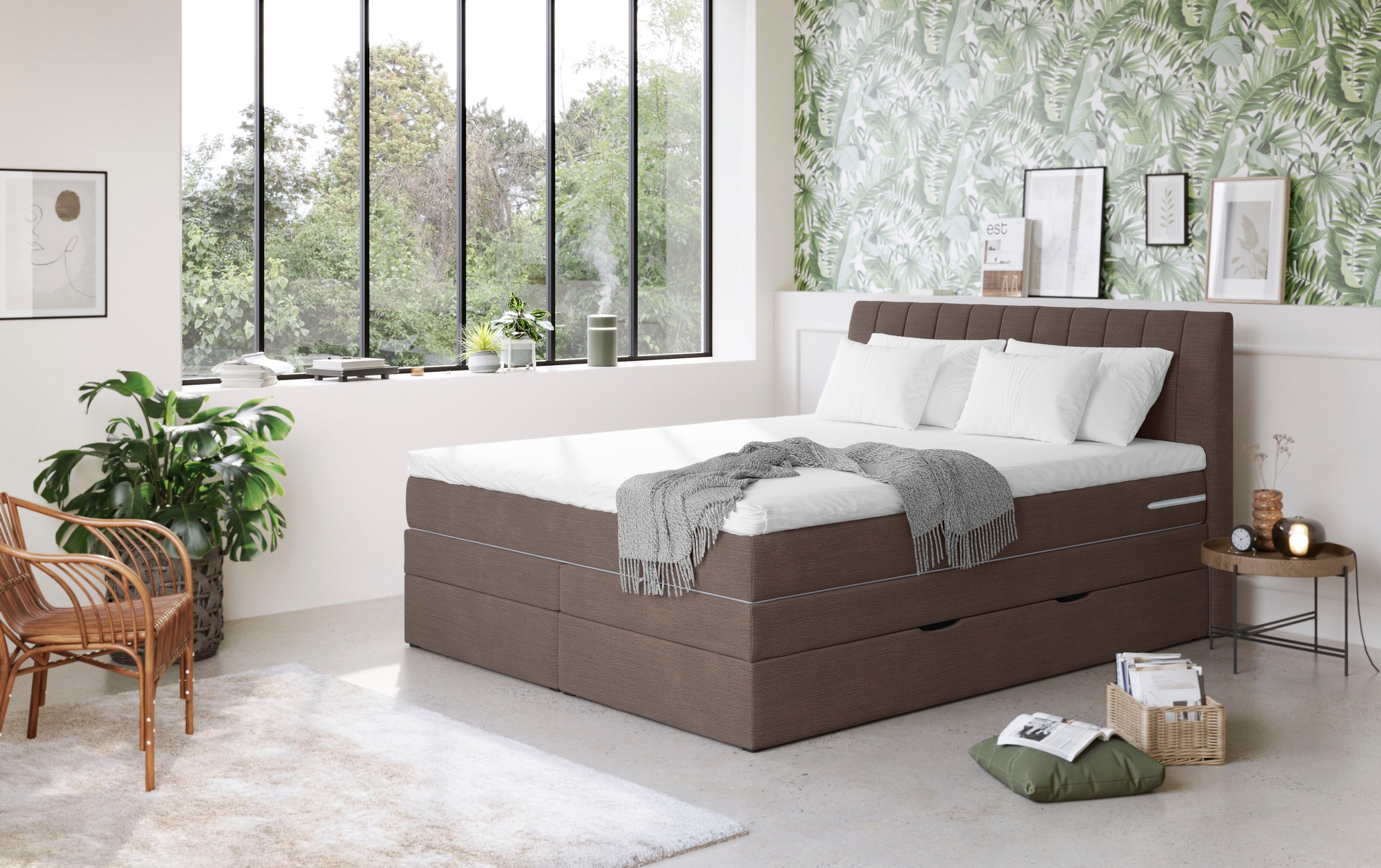 COTTA Boxspringbett »Shark inkl. Bettkasten und Topper«, erhältlich in den günstig online kaufen