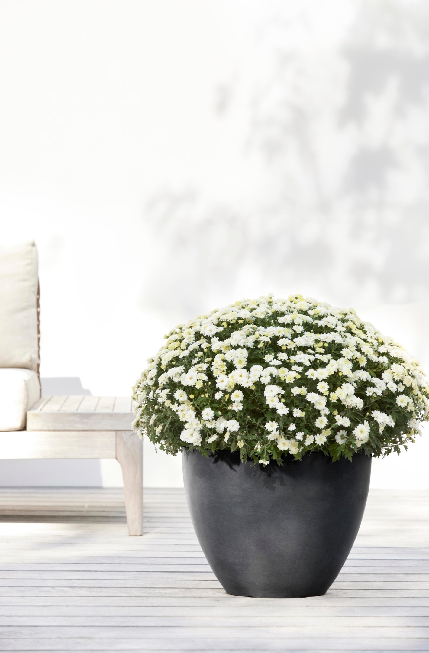ECOPOTS Blumentopf »ANTWERP Dark Grey«, BxTxH: 40x40x30 cm