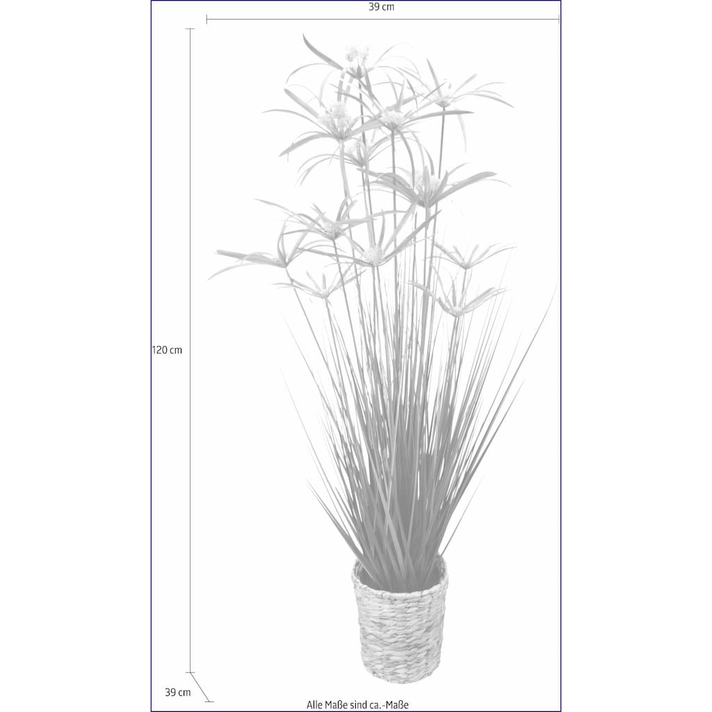 I.GE.A. Kunstpflanze »Zyperngras in Wasserhyazinthentopf«