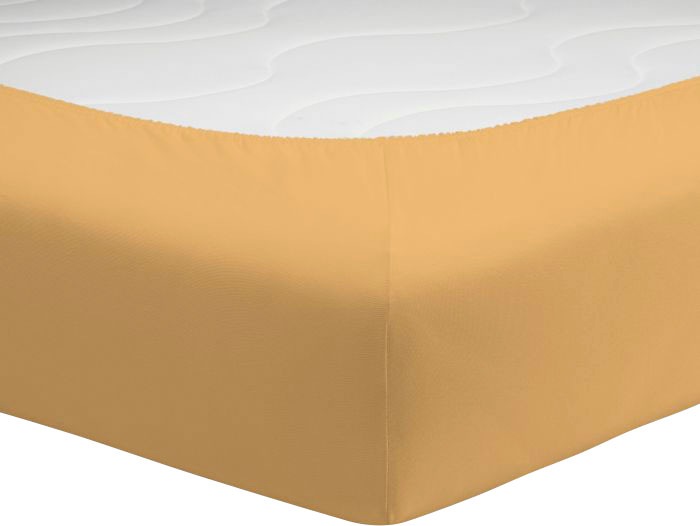 Schlafgut Spannbettlaken »Mako-Jersey aus 100% Baumwolle, Bettlaken«, für M günstig online kaufen