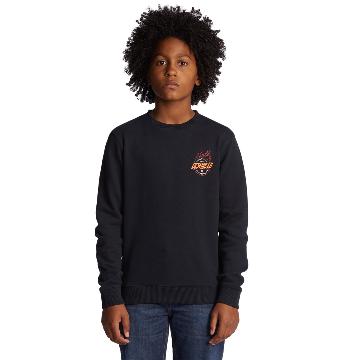 DC Shoes Sweatshirt »Fiery«
