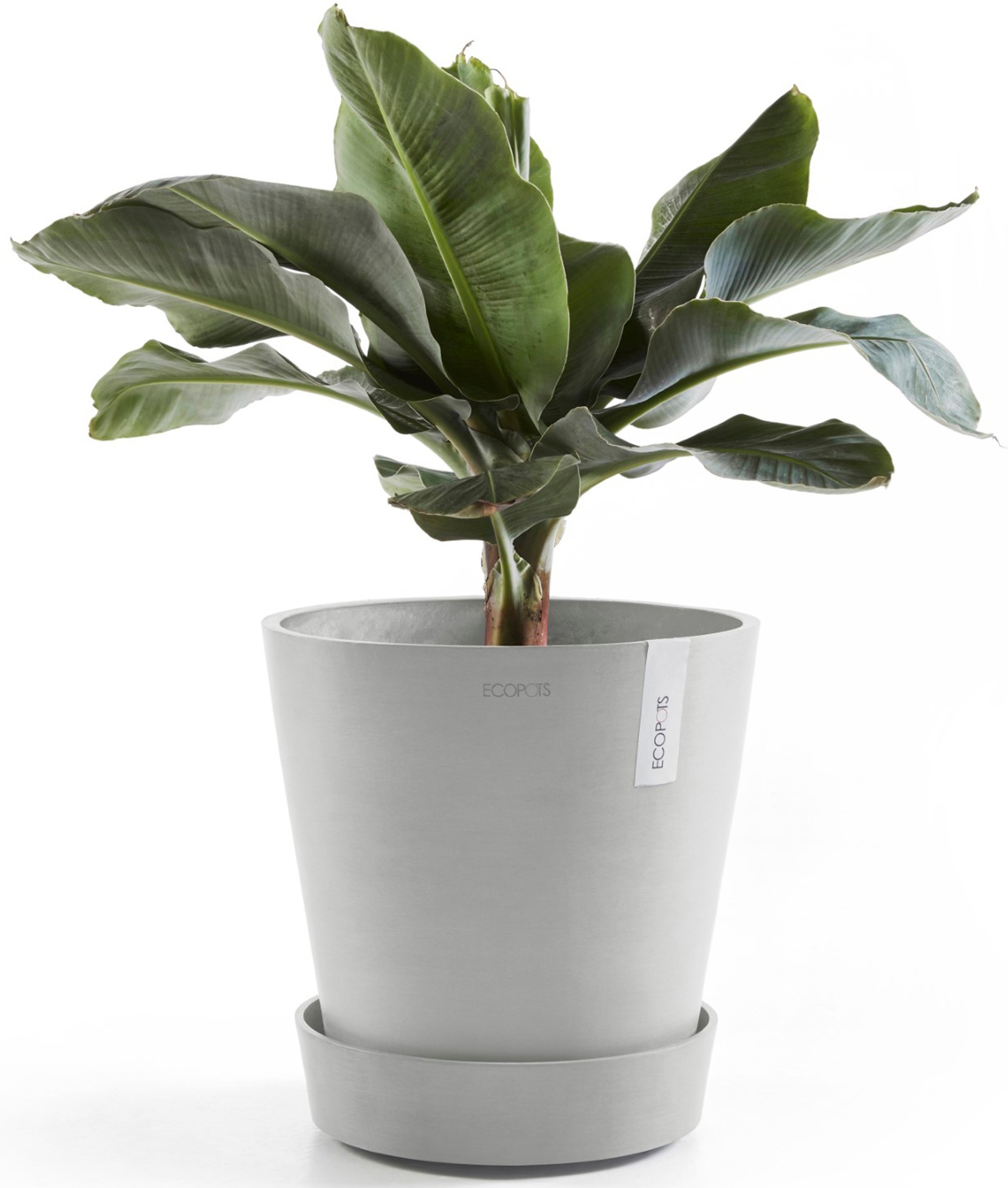 ECOPOTS Topfuntersetzer »mit Rollen 60 Weißgrau«, für innen und außen: frostsicher, bruchsicher und lichtbeständig